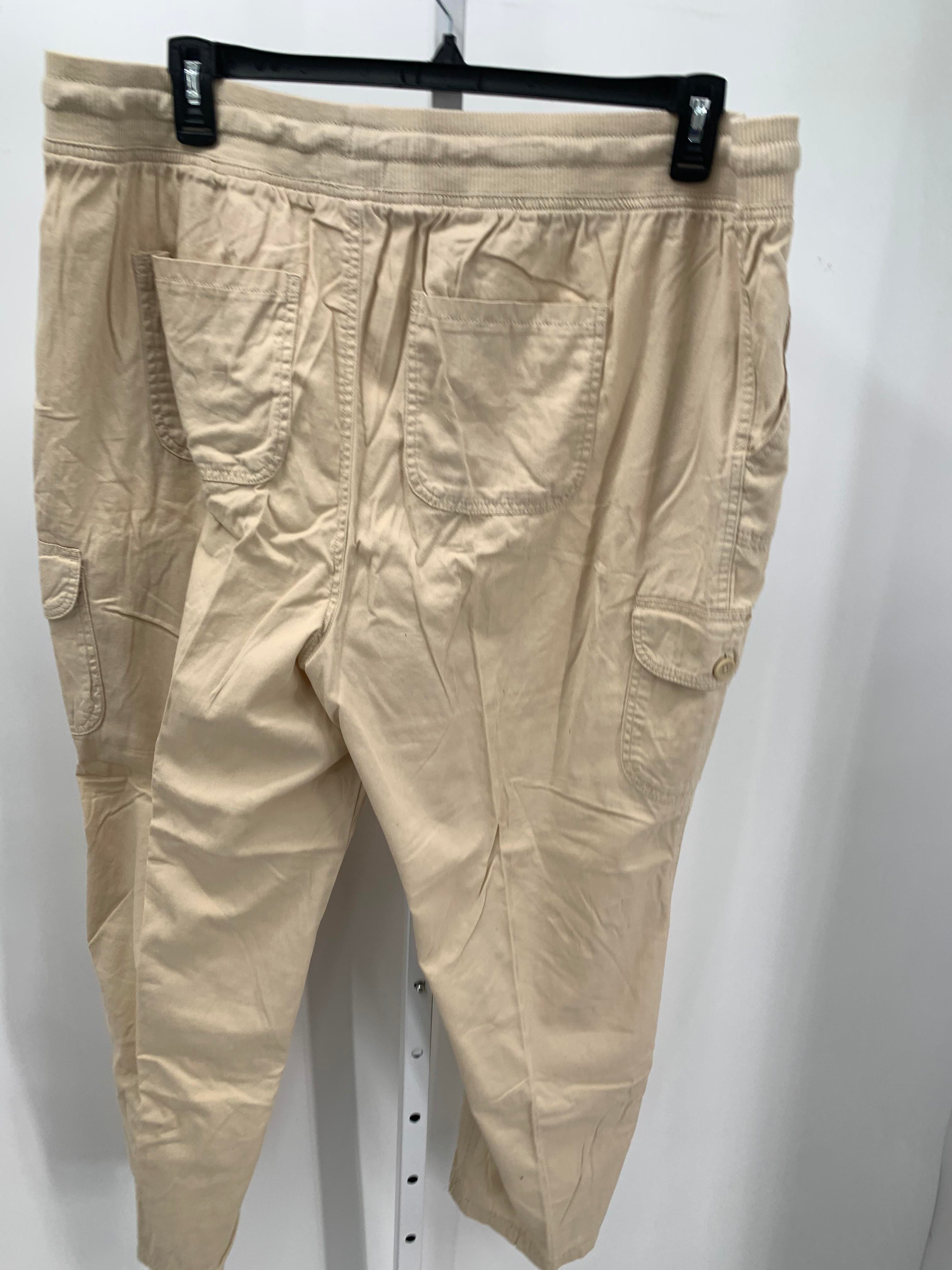 Woman Within Size 22 WP Womens Pants