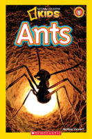 National Geographic Kids: Ants -