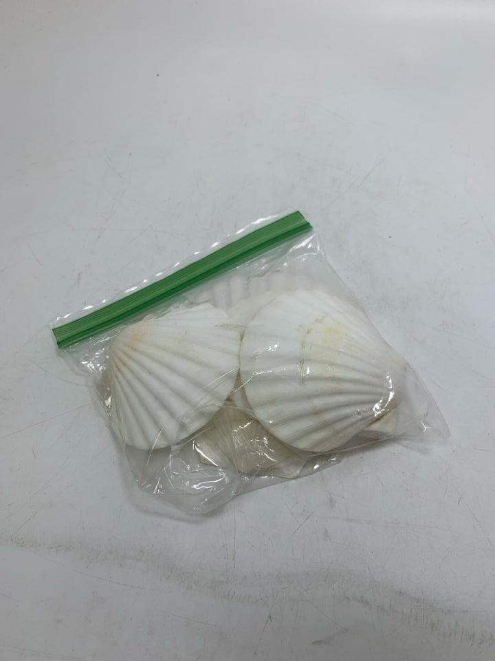5 FLAT WHITE SHELLS IN BAG.