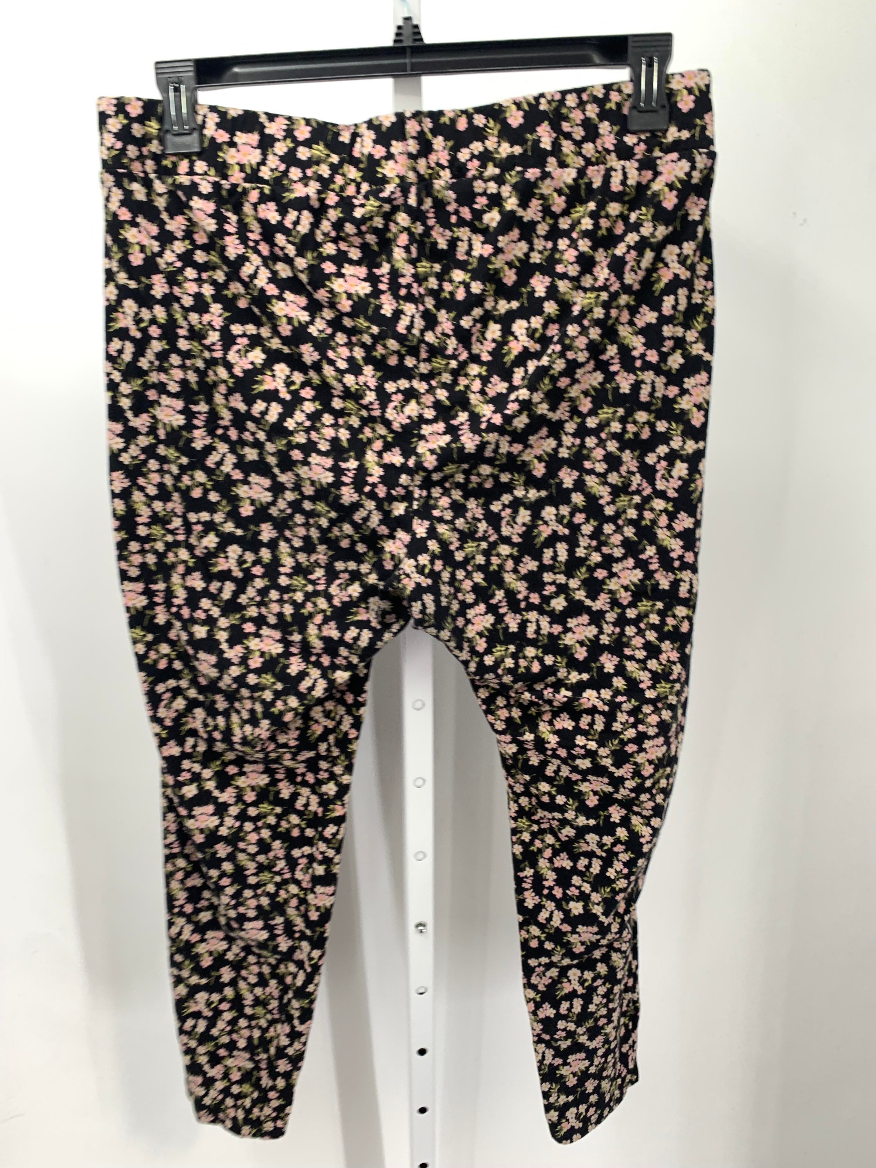 Torrid Size 3X Womens Pants