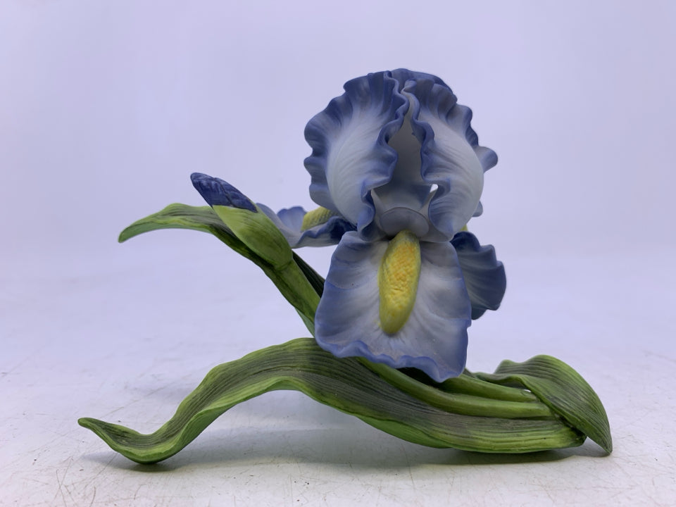 PORCELAIN BLUE IRIS-1989.