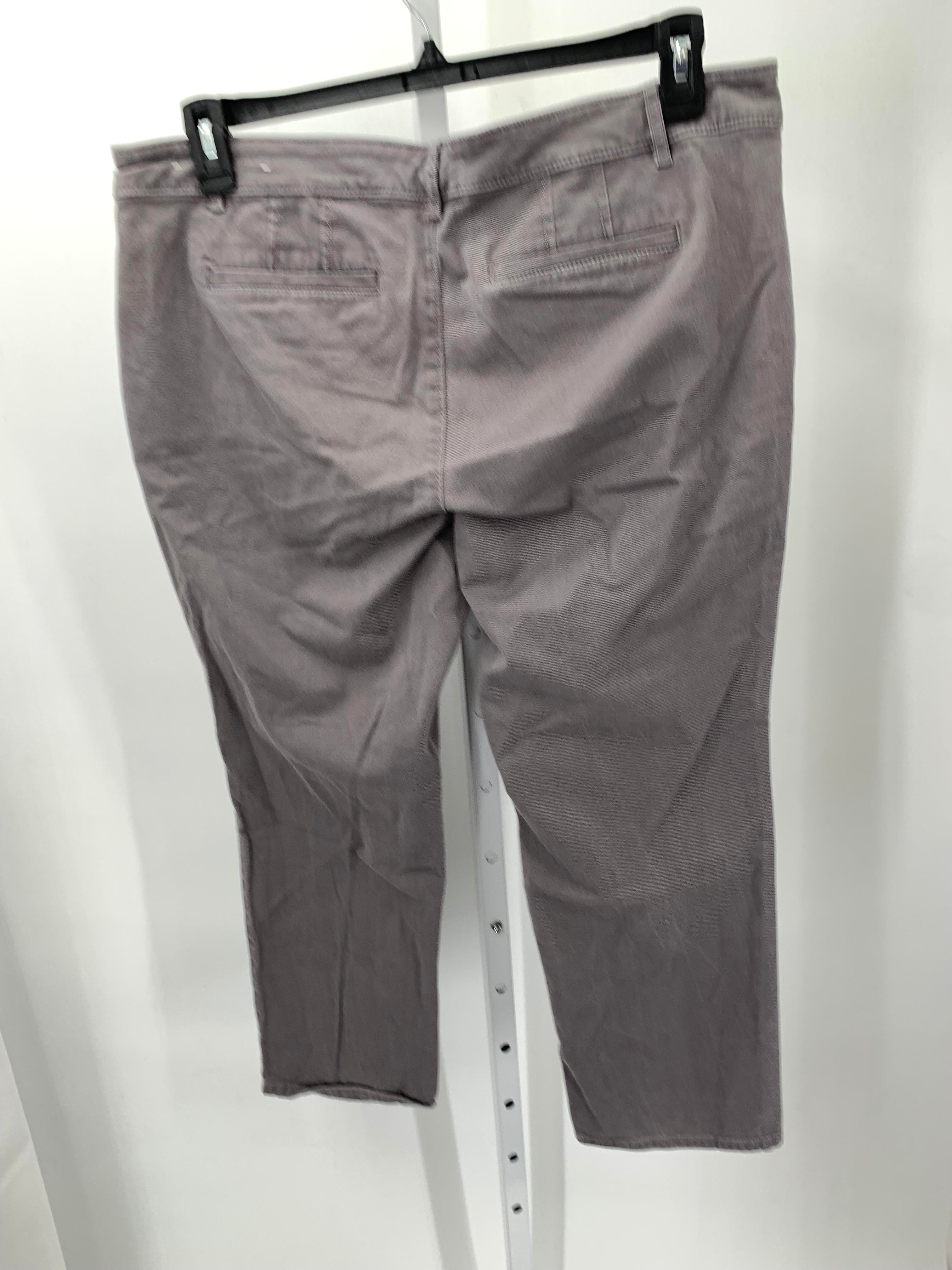 Loft Size 14 Petite Petite Pants