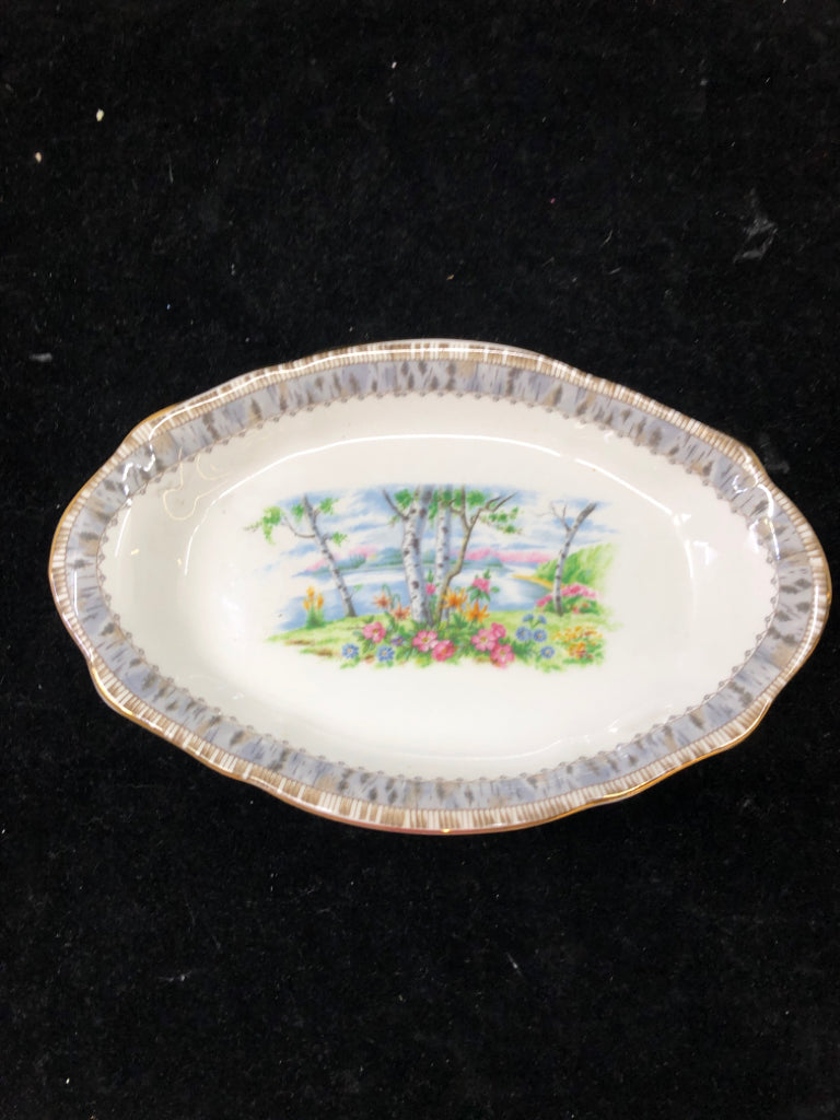 VTG SILVER BIRCH OVAL TRAY.