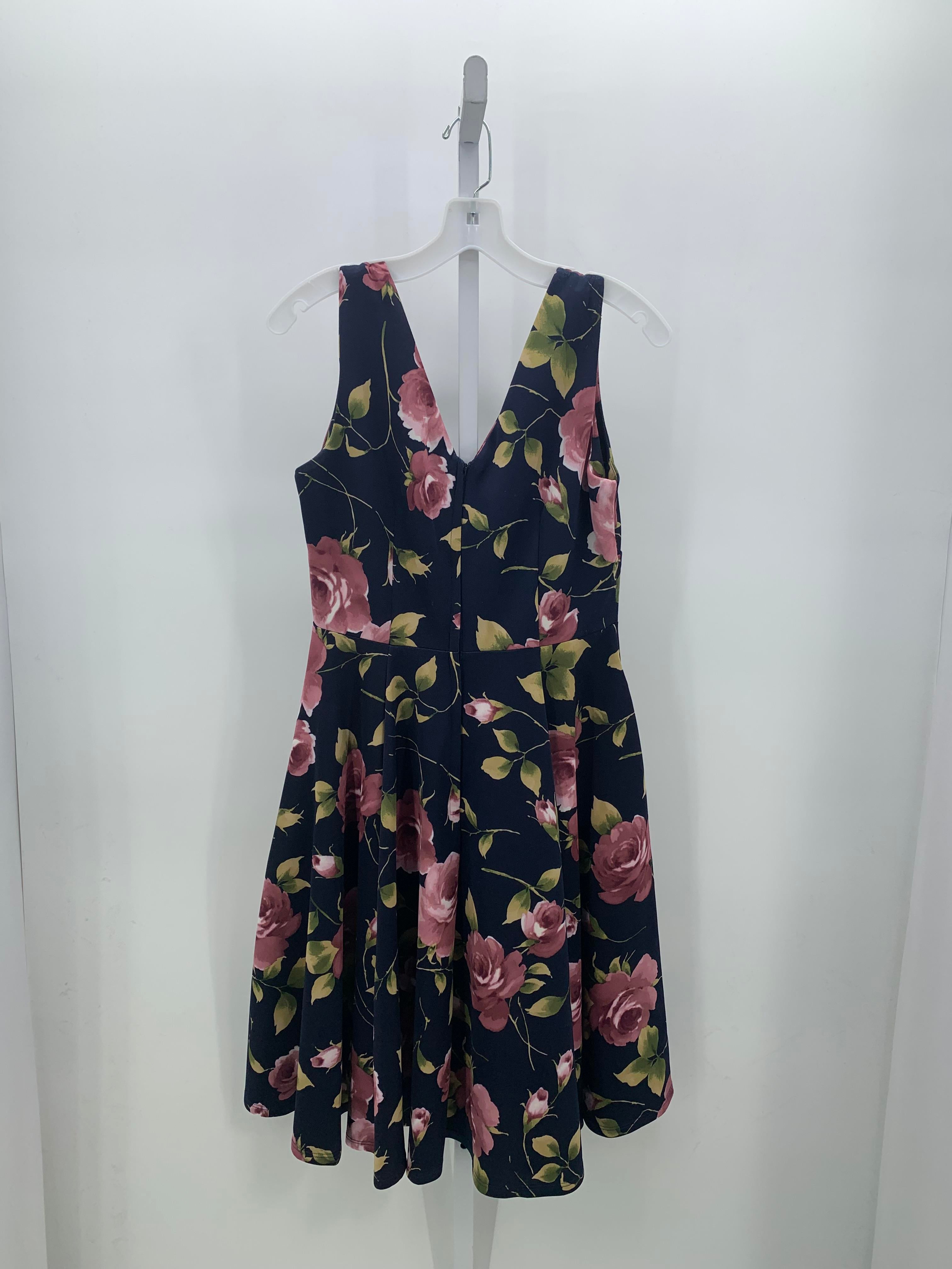 Size Large Misses Sleeveless Dress