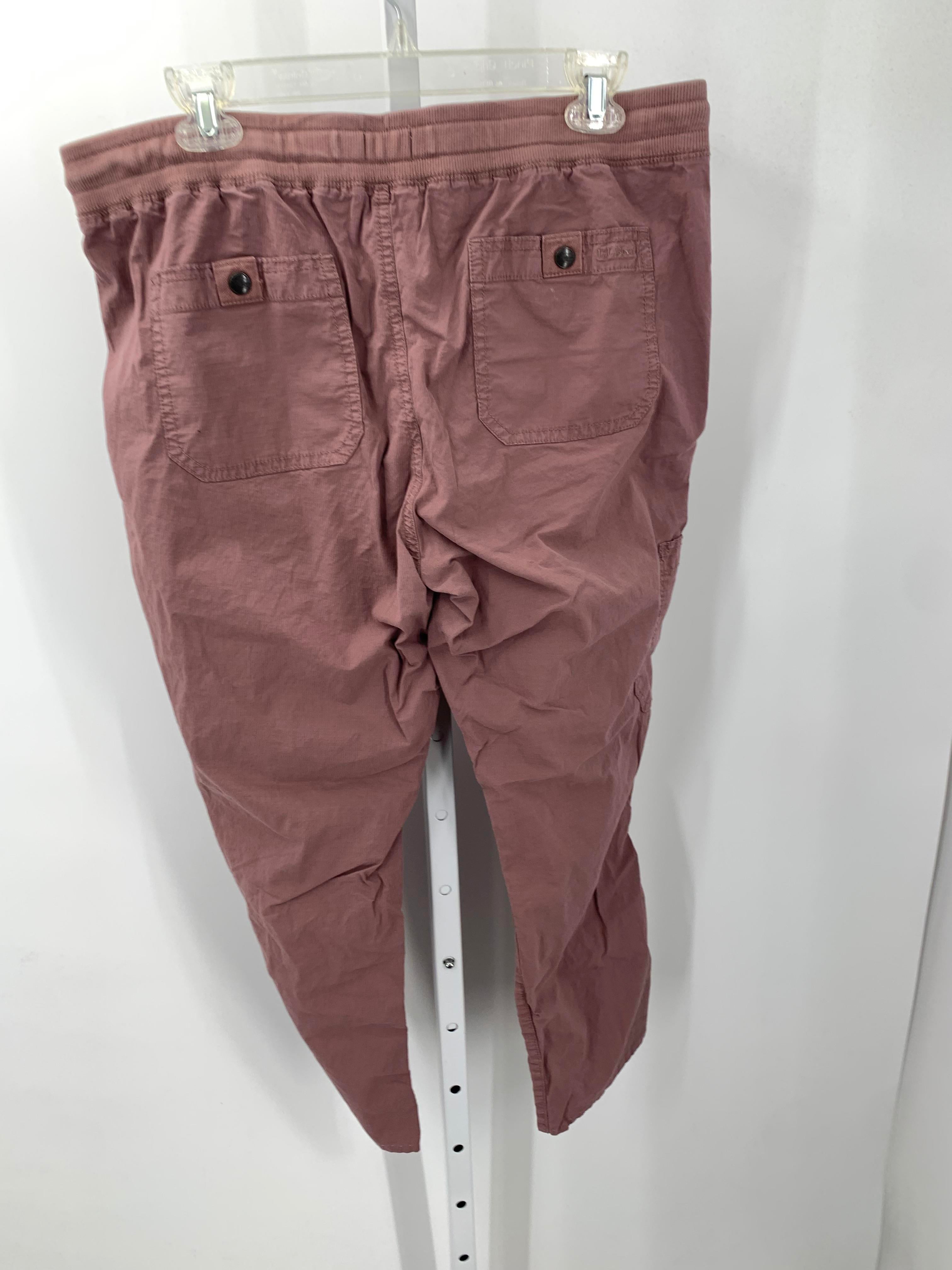 LL Bean Size Large Petite Petite Pants