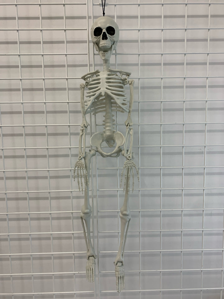 MOVEABLE SKELETON.
