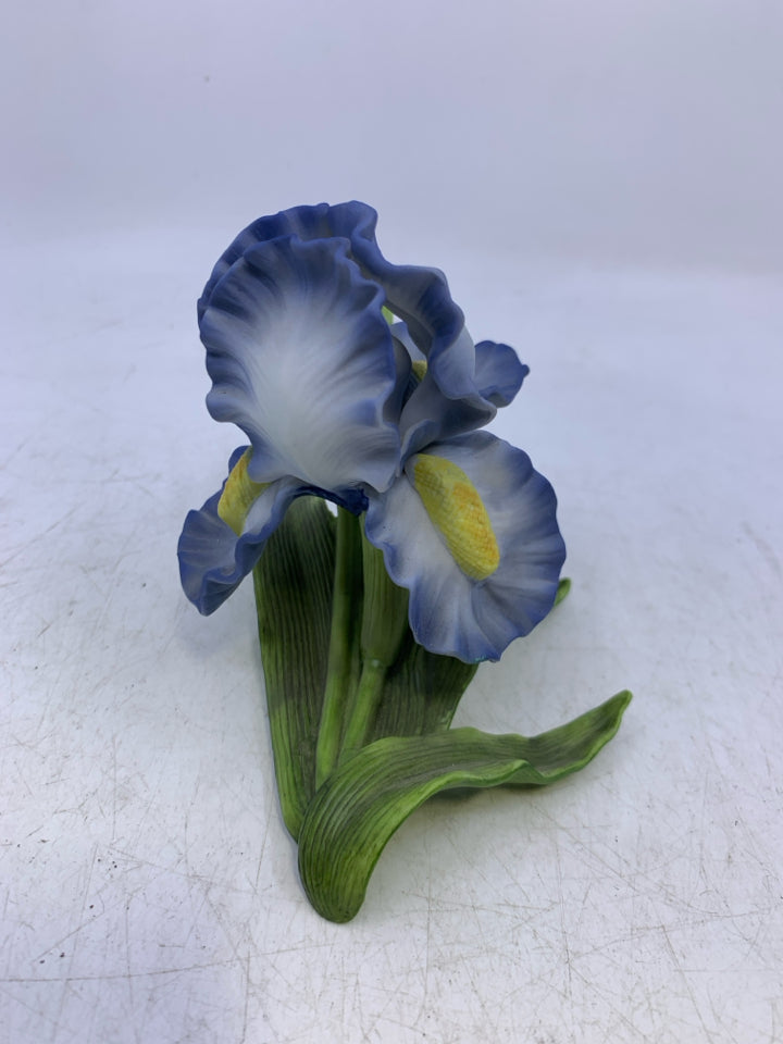 PORCELAIN BLUE IRIS-1989.