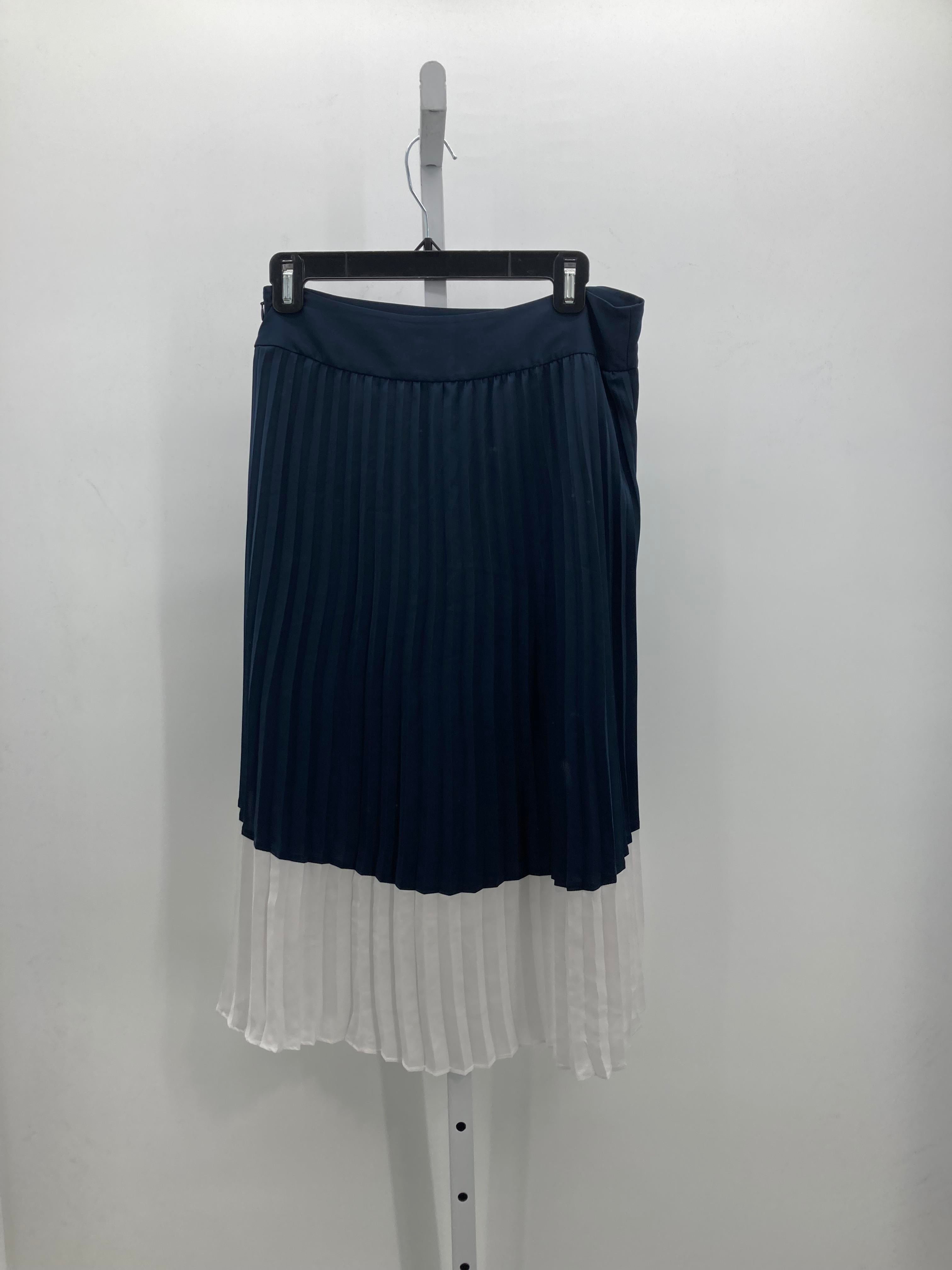 Ann Taylor Size 6 Misses Skirt