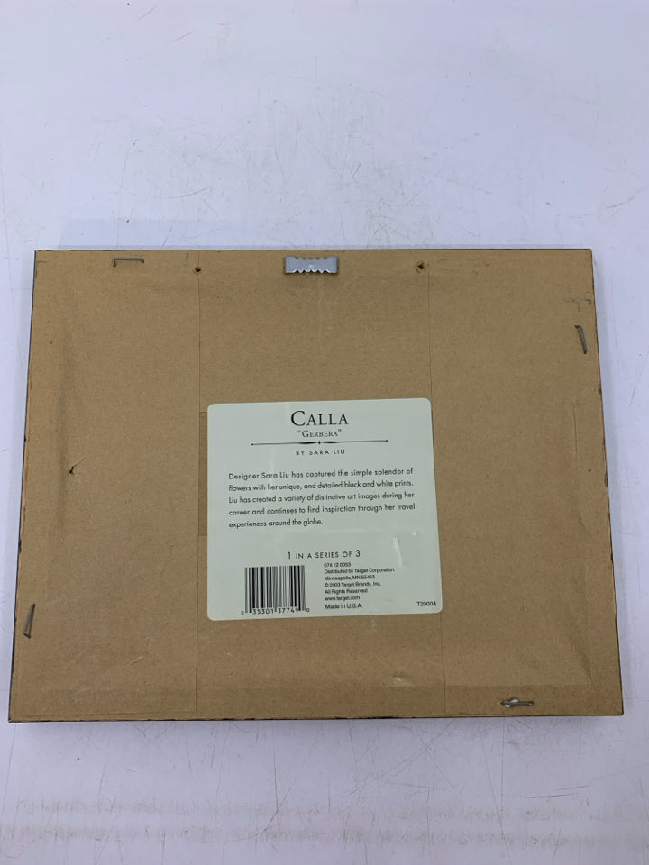 FRAMED GERBER DAISY PRINT.