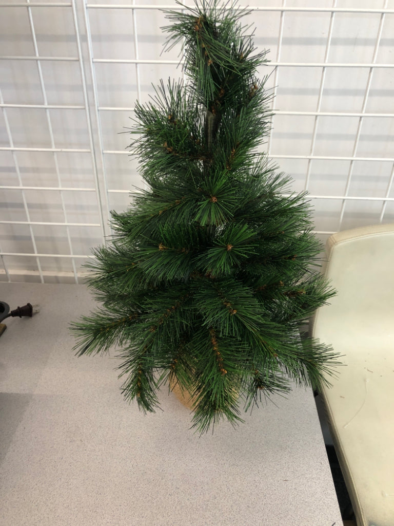 PINE TREE WITH BURLAP BASE.
