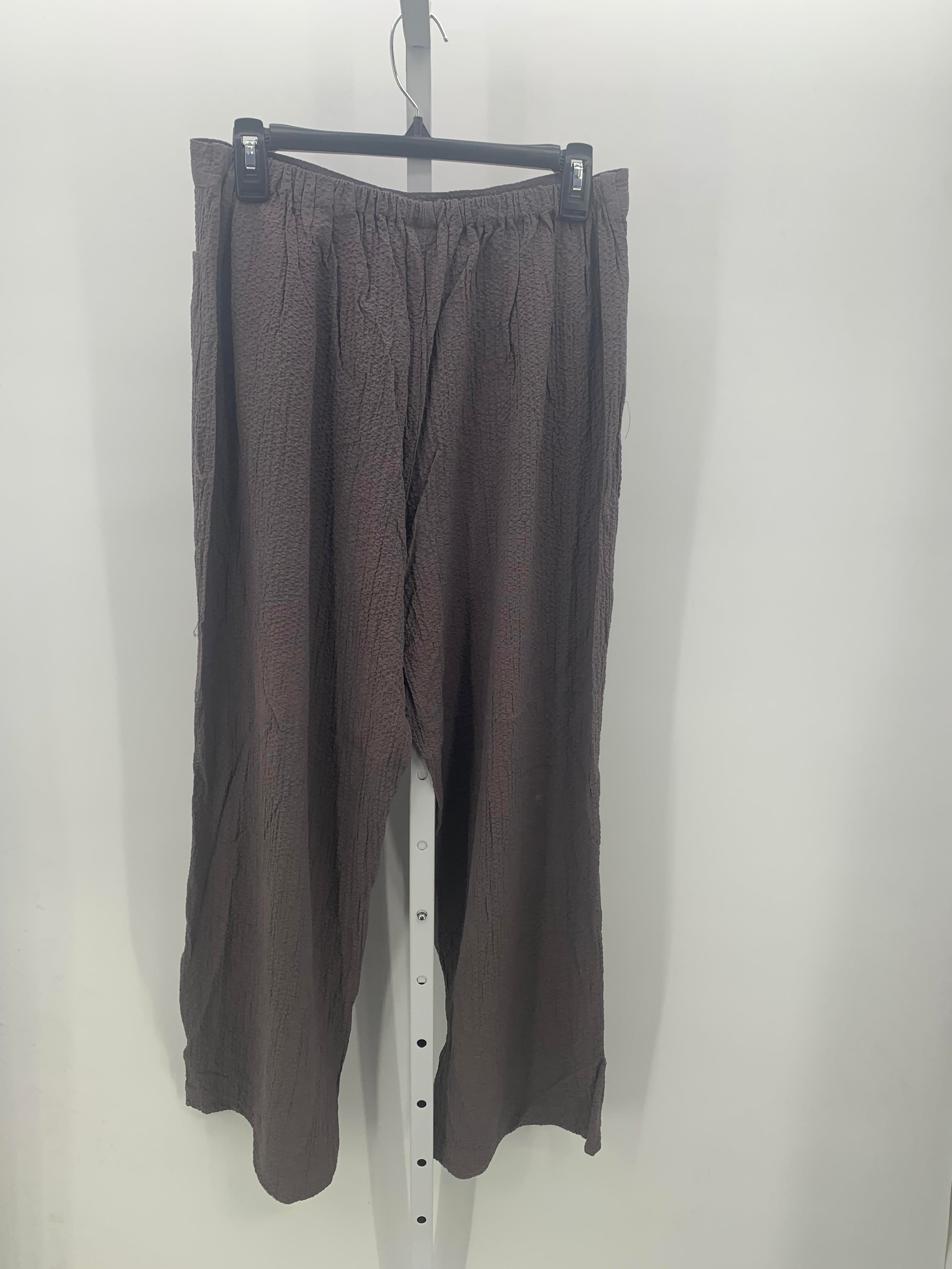 Size Large Misses Pants
