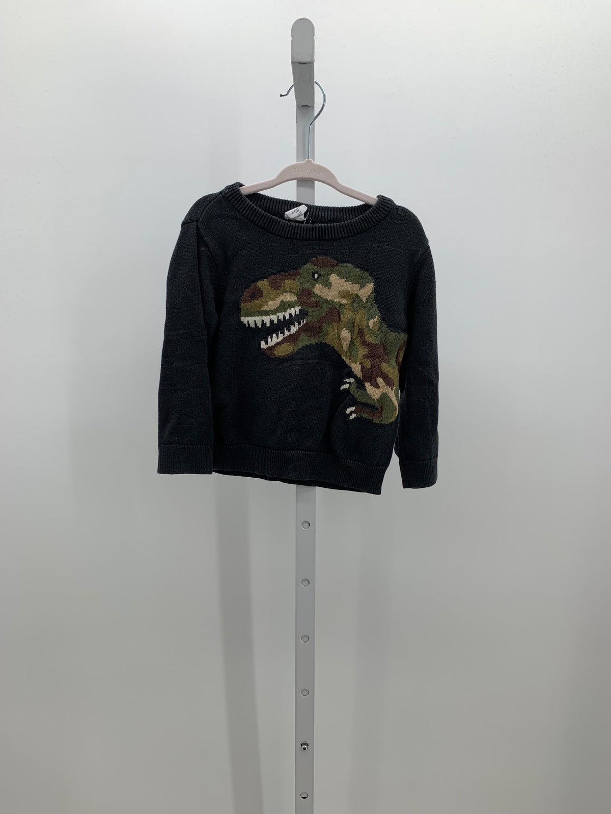 CAMO DINO
