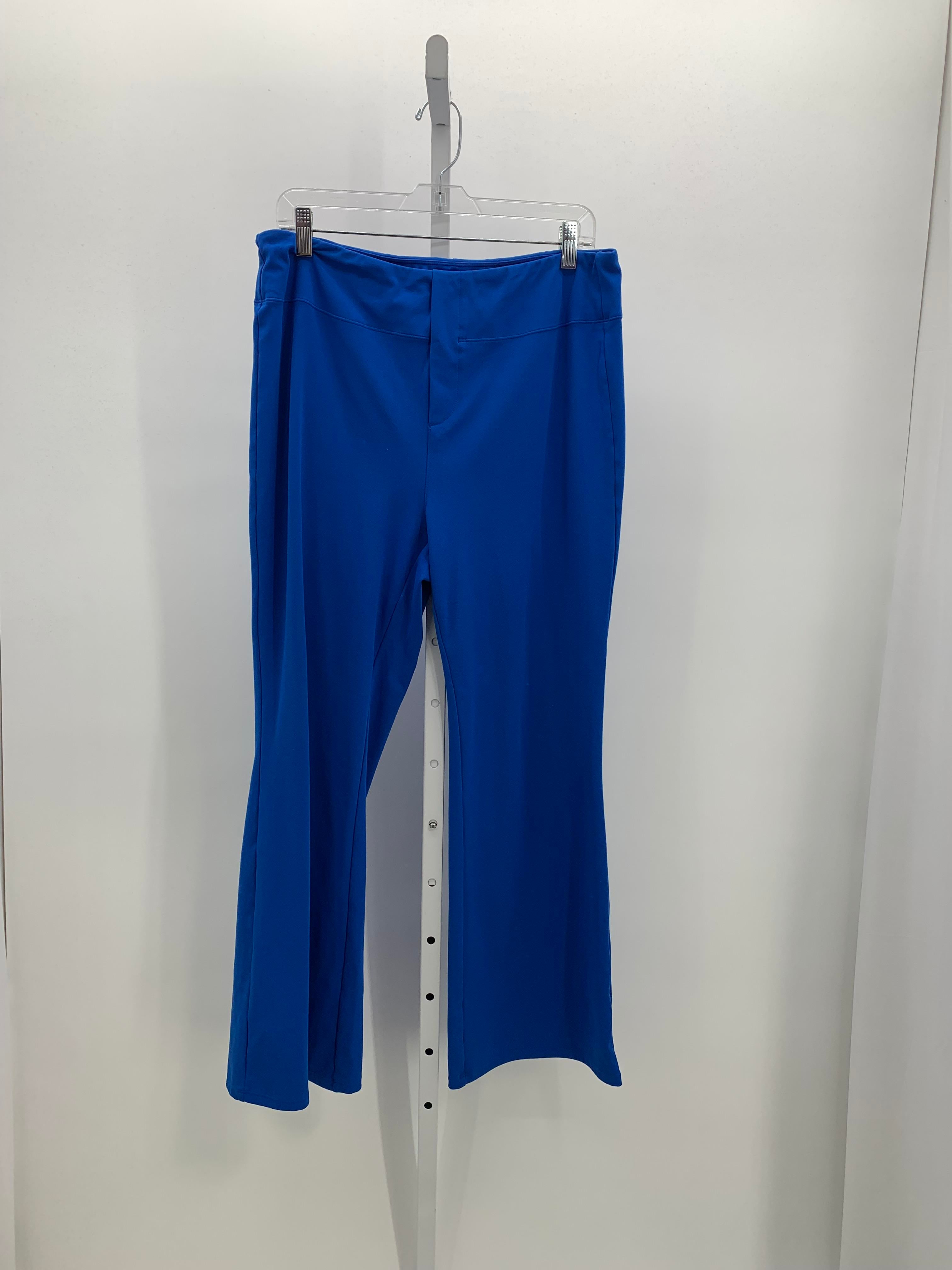Size X Large Petite Petite Pants