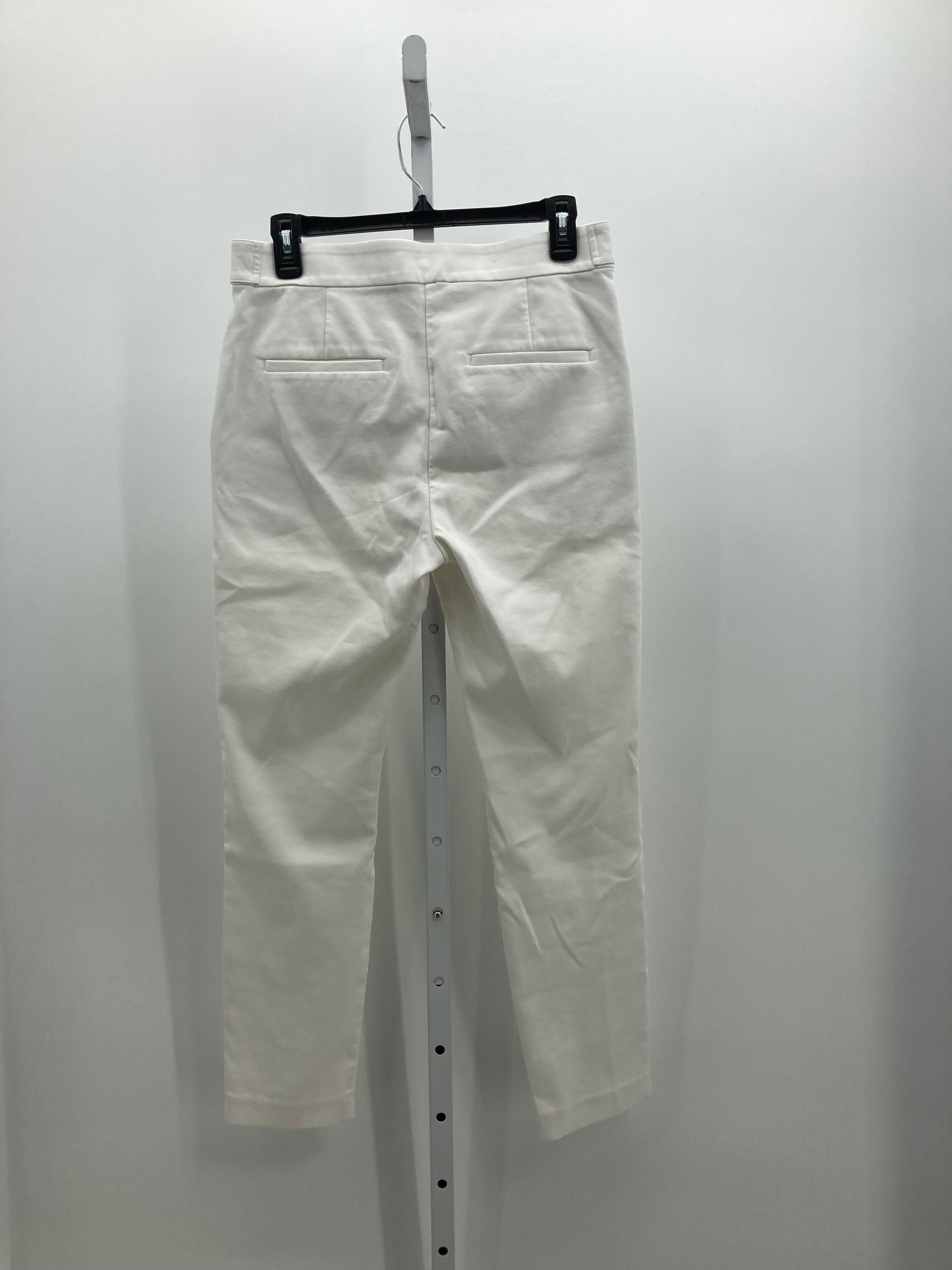 Loft Size 6 Misses Pants