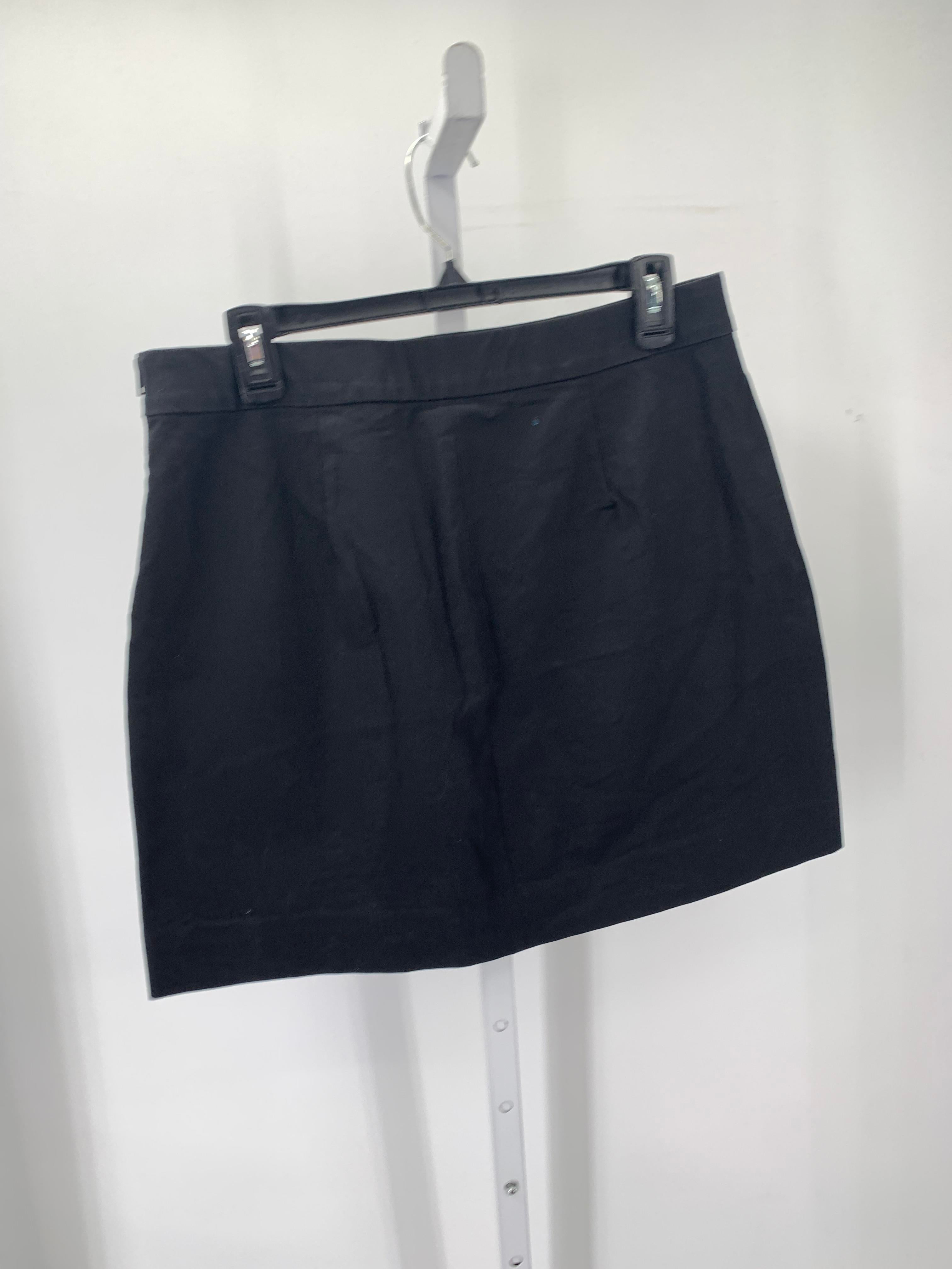 Everlane Size 12 Misses Skirt