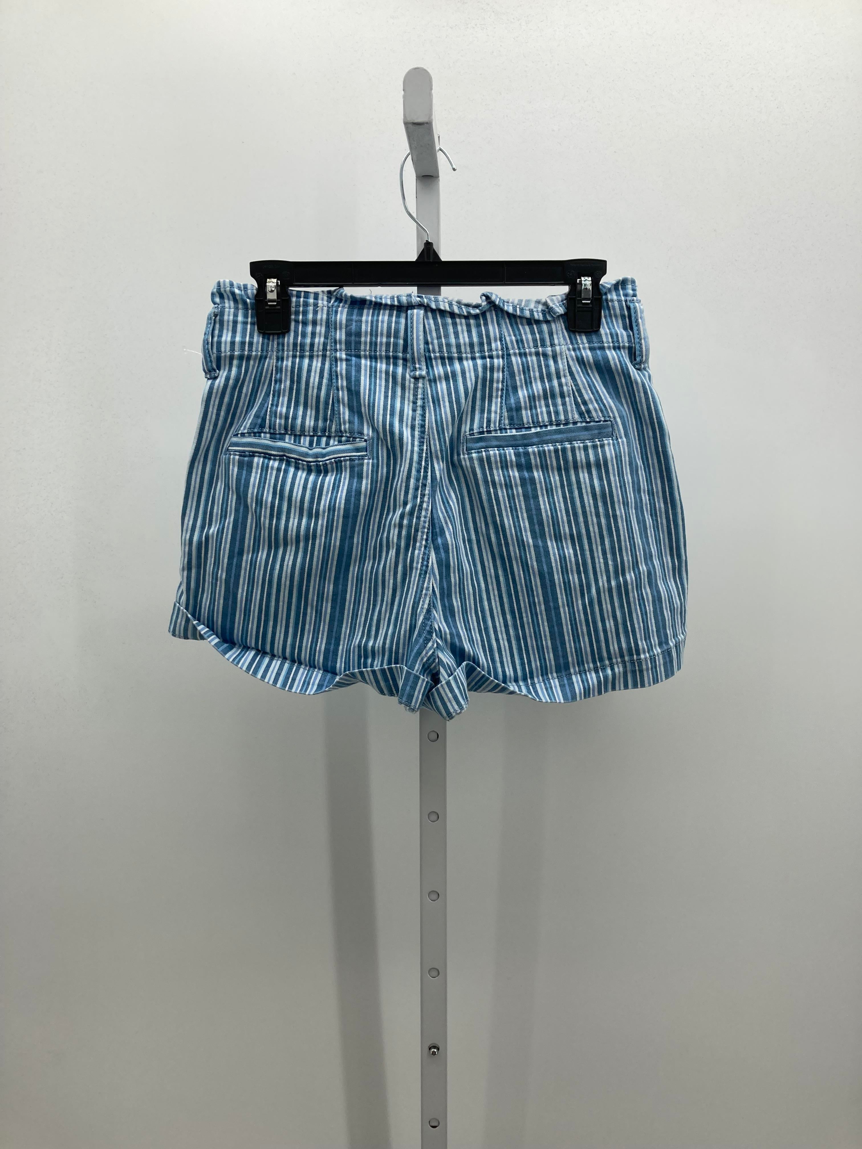 American Eagle Size 6 Misses Shorts