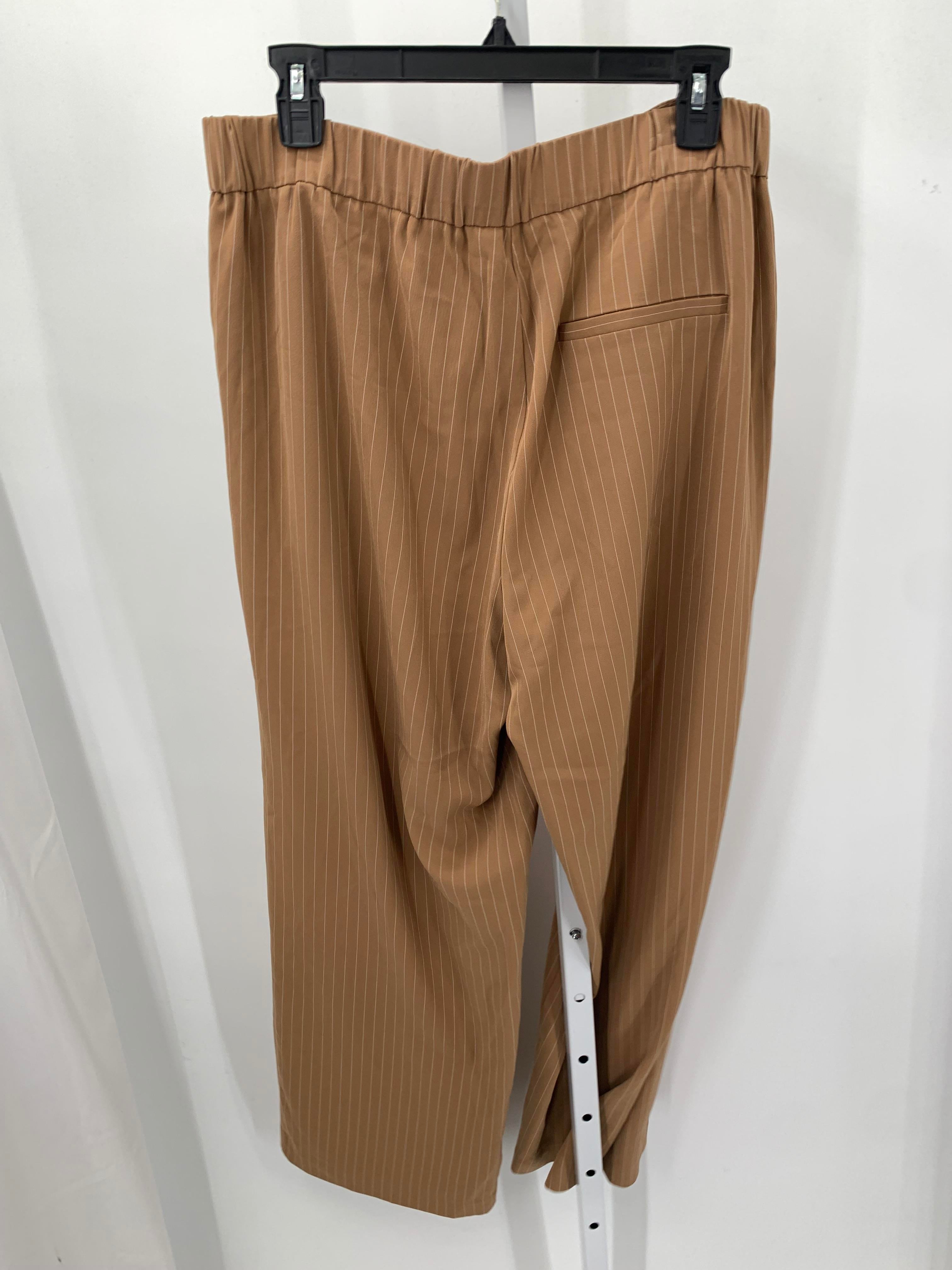 Size Extra Large Misses Pants