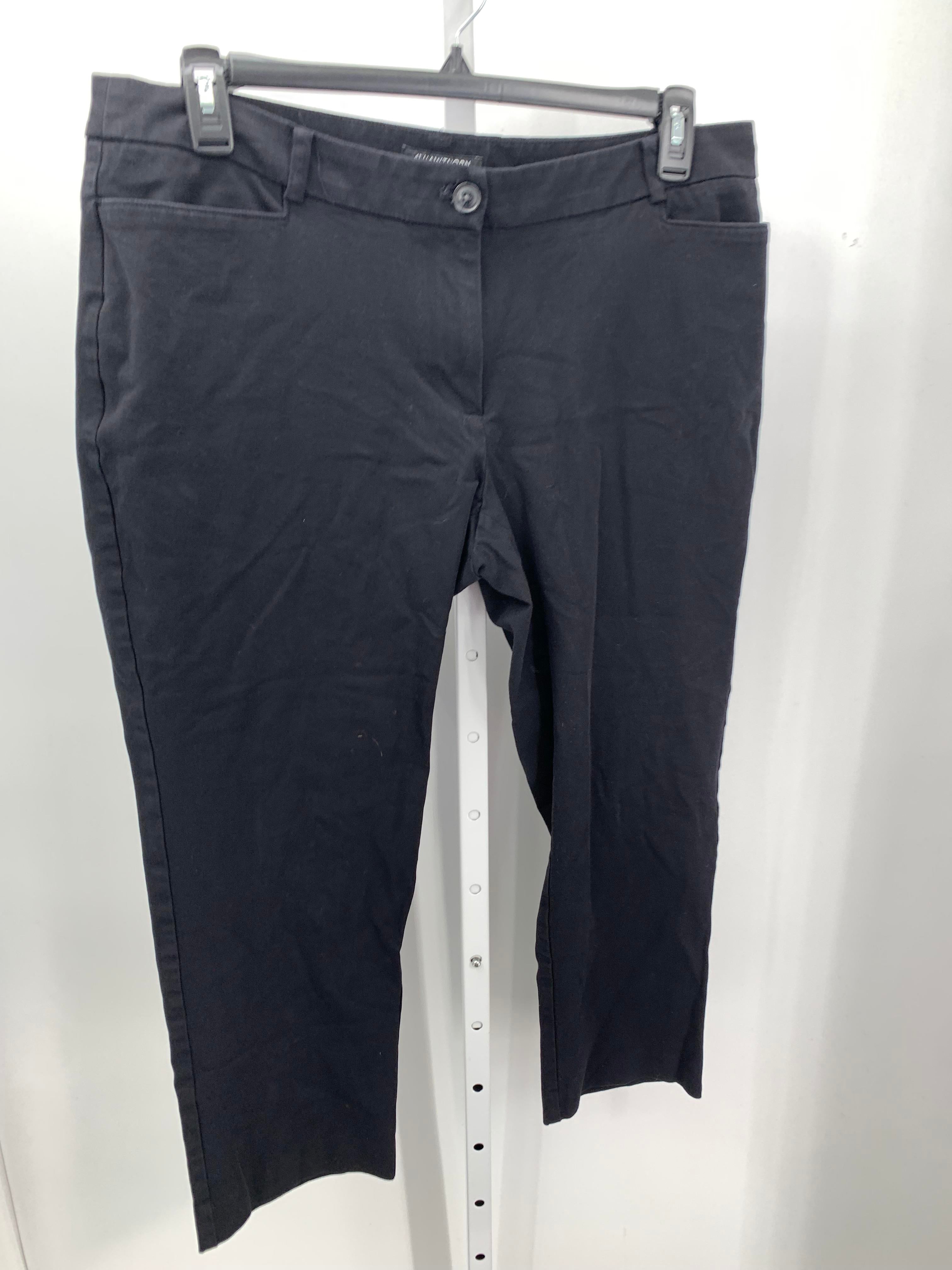 41 Hawthorn Size 16 W Womens Pants