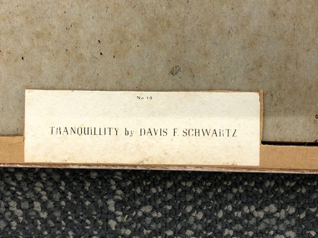 VTG TRANQUILITY REPRODUCTION FRAMED PRINT BY DAVIS F SCHWARTZ.