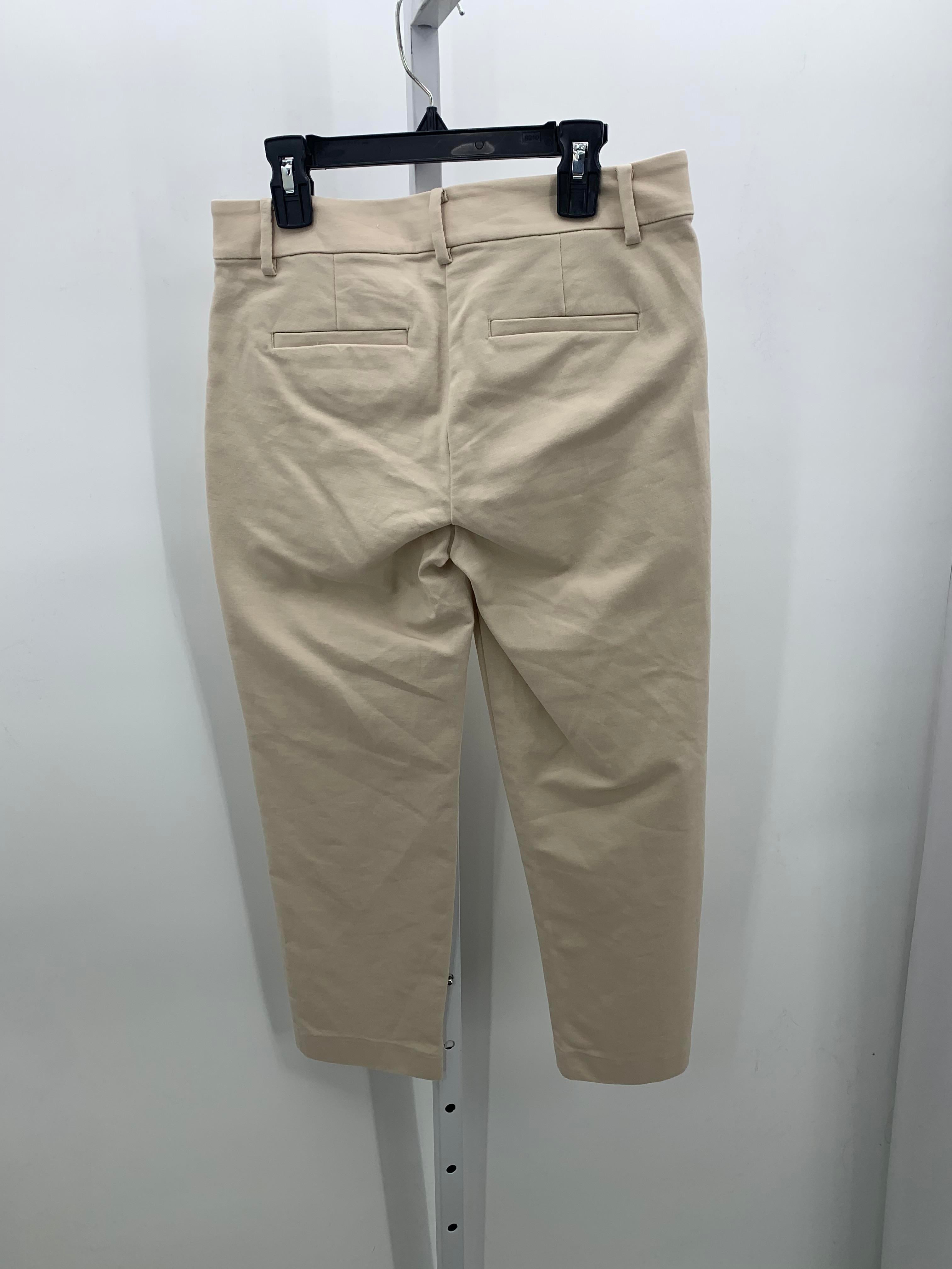 Loft Size 0 Petite Petite Pants