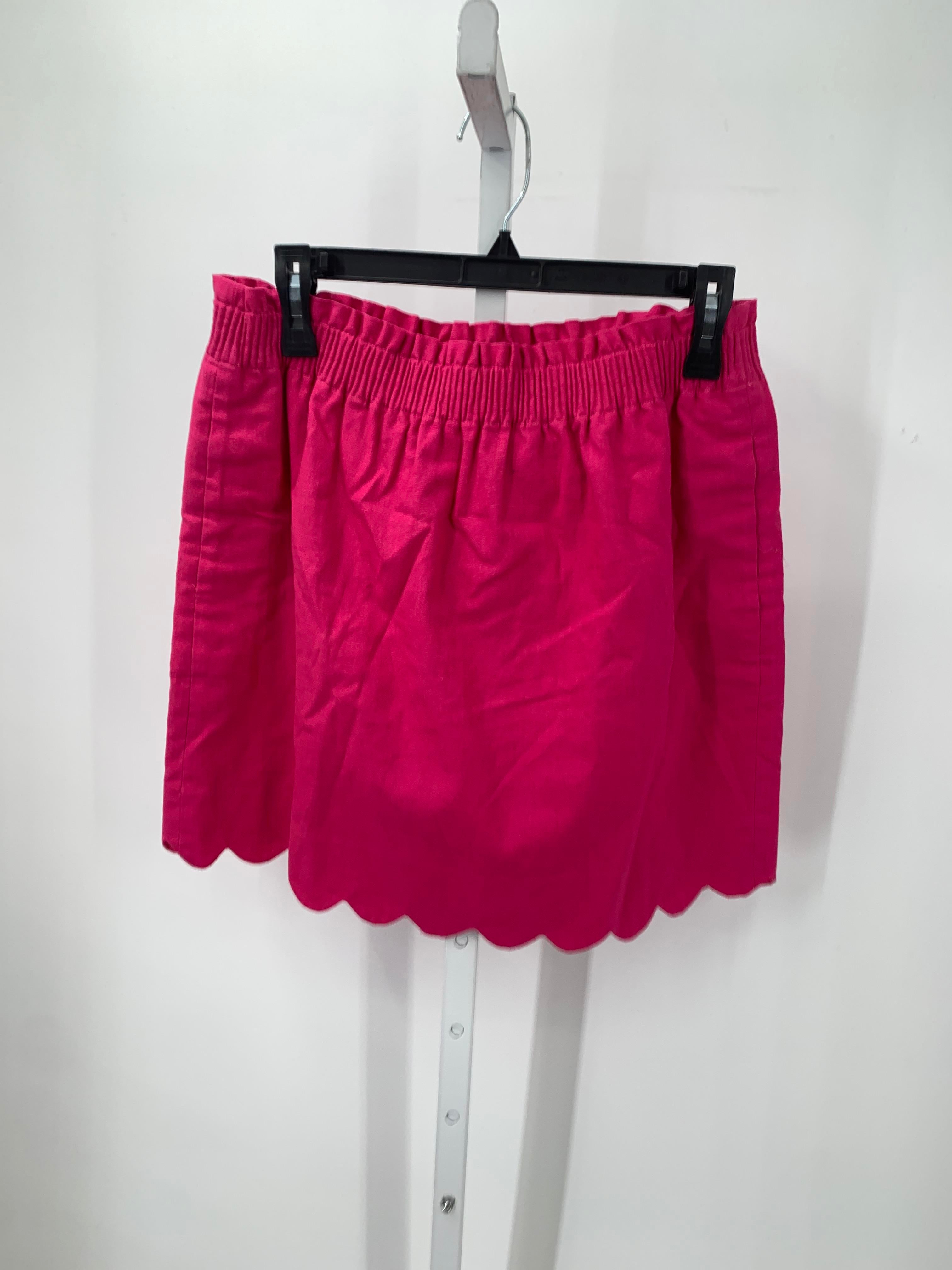 J. Crew Size 10 Misses Skirt