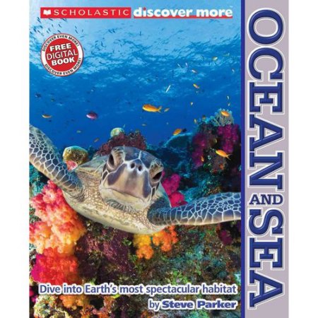 Ocean and Sea by Steve Parker (Paperback) - Parker, Steve