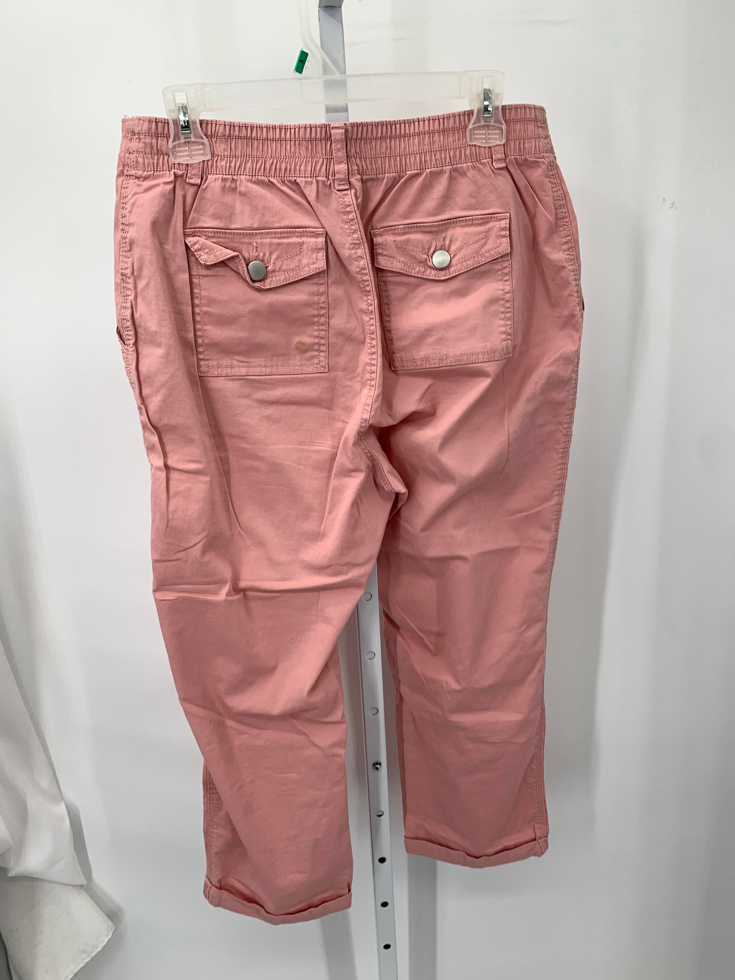 Time and Tru Size 10 Misses Pants