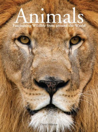Animals David Alderton Author -
