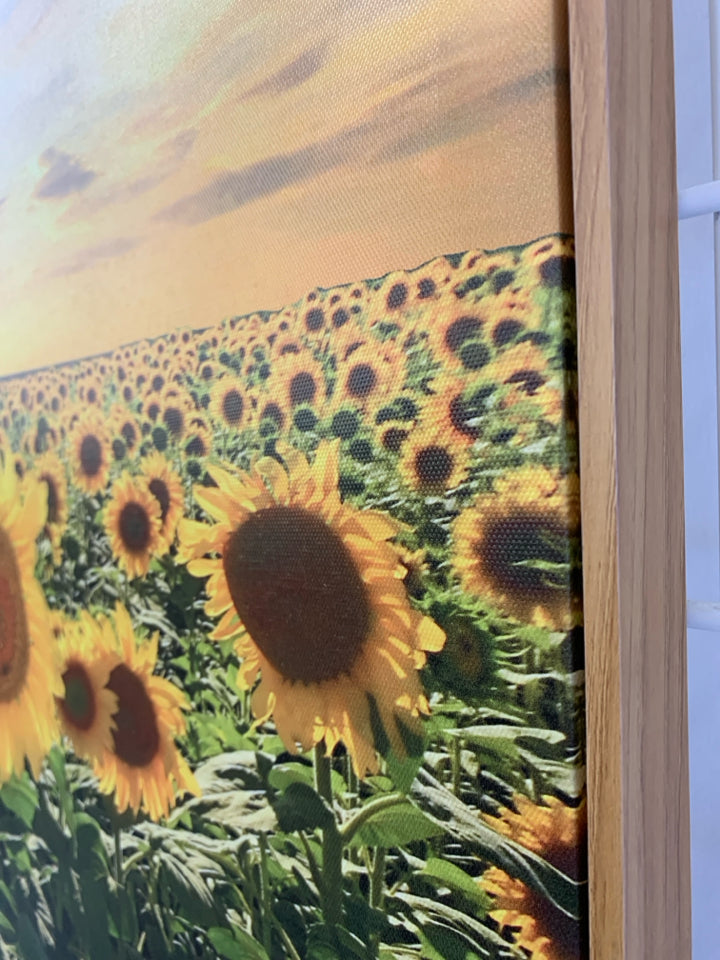 SUNFLOWER FIELD CANVAS IN WOOD FRAME.