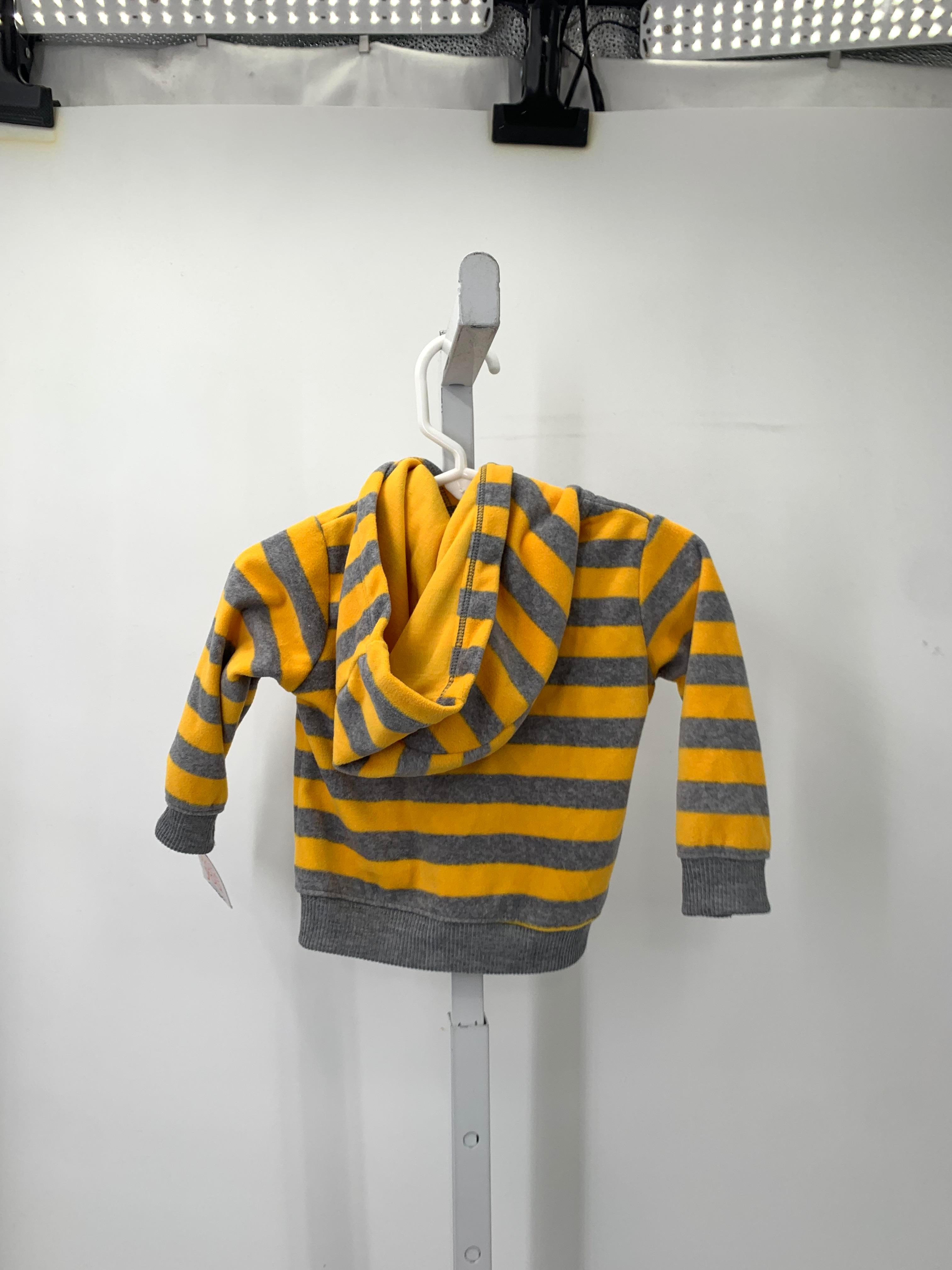 NEW GREY STRIPES LION.