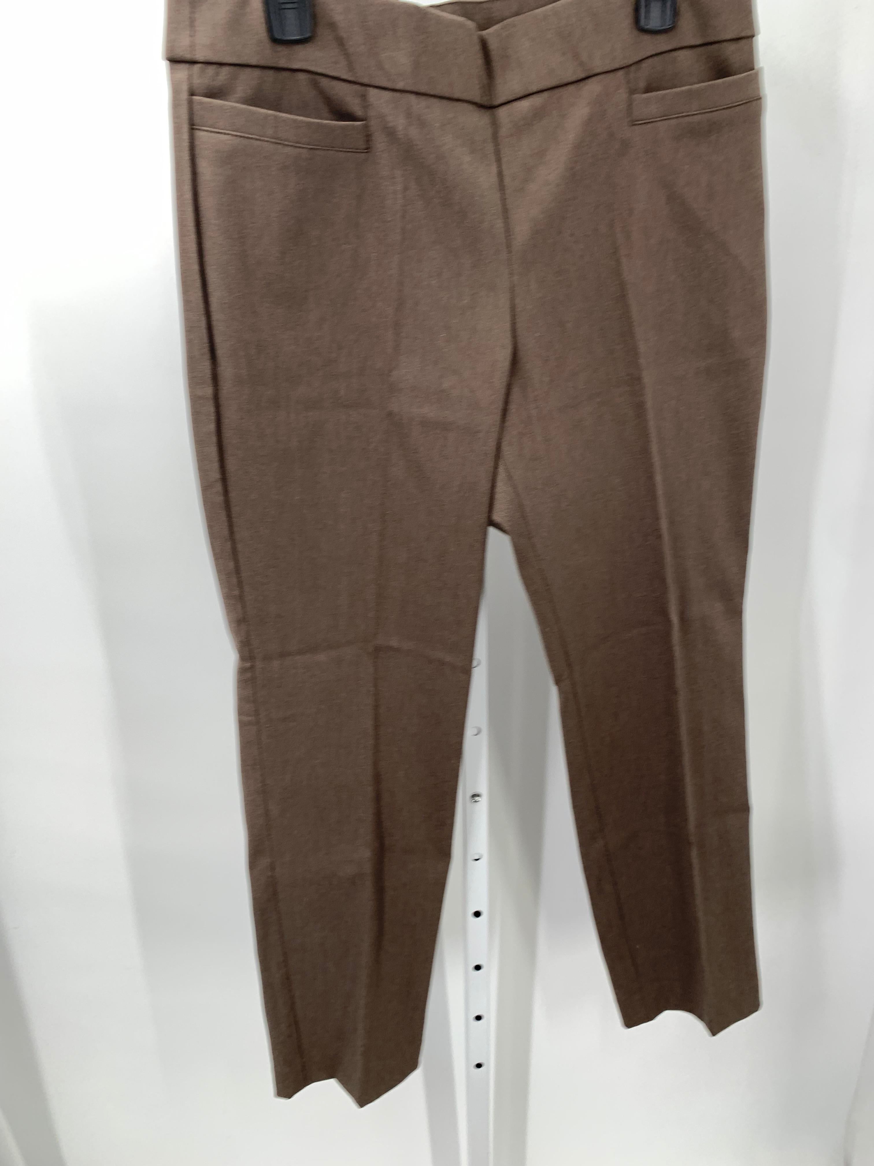 Size 14 Petite Petite Pants