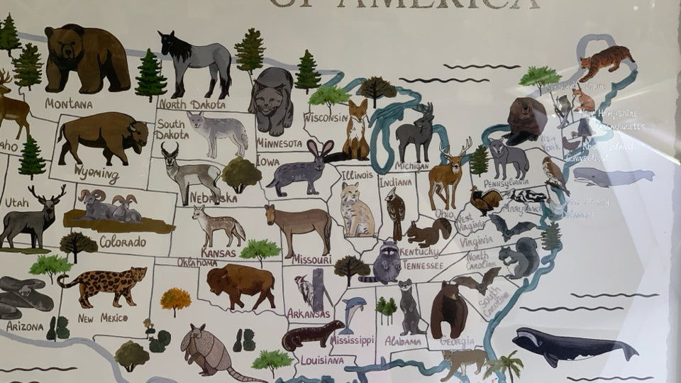 WHITE FRAME USA MAP WITH ANIMALS.