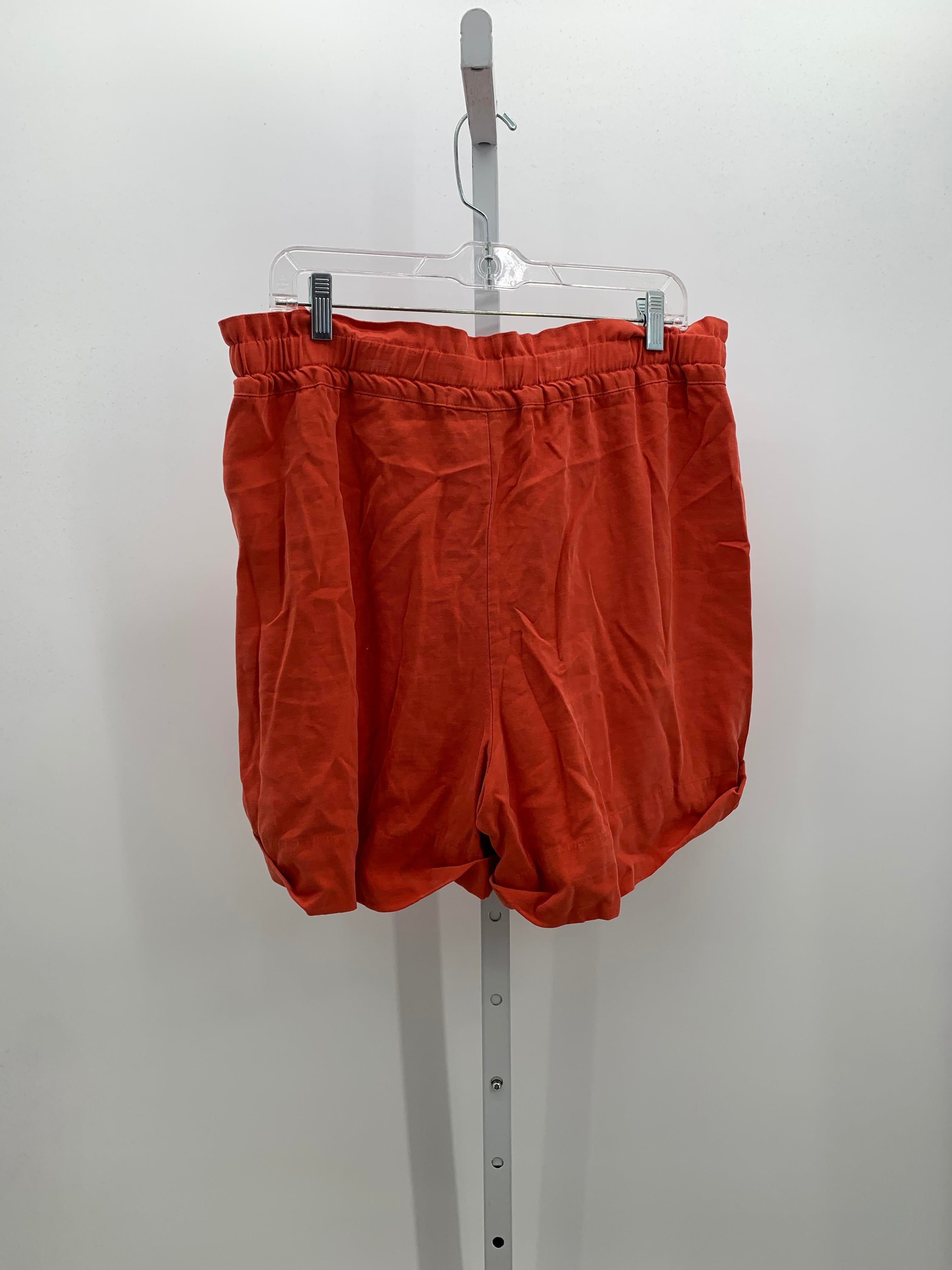 INC Size 16 Misses Shorts