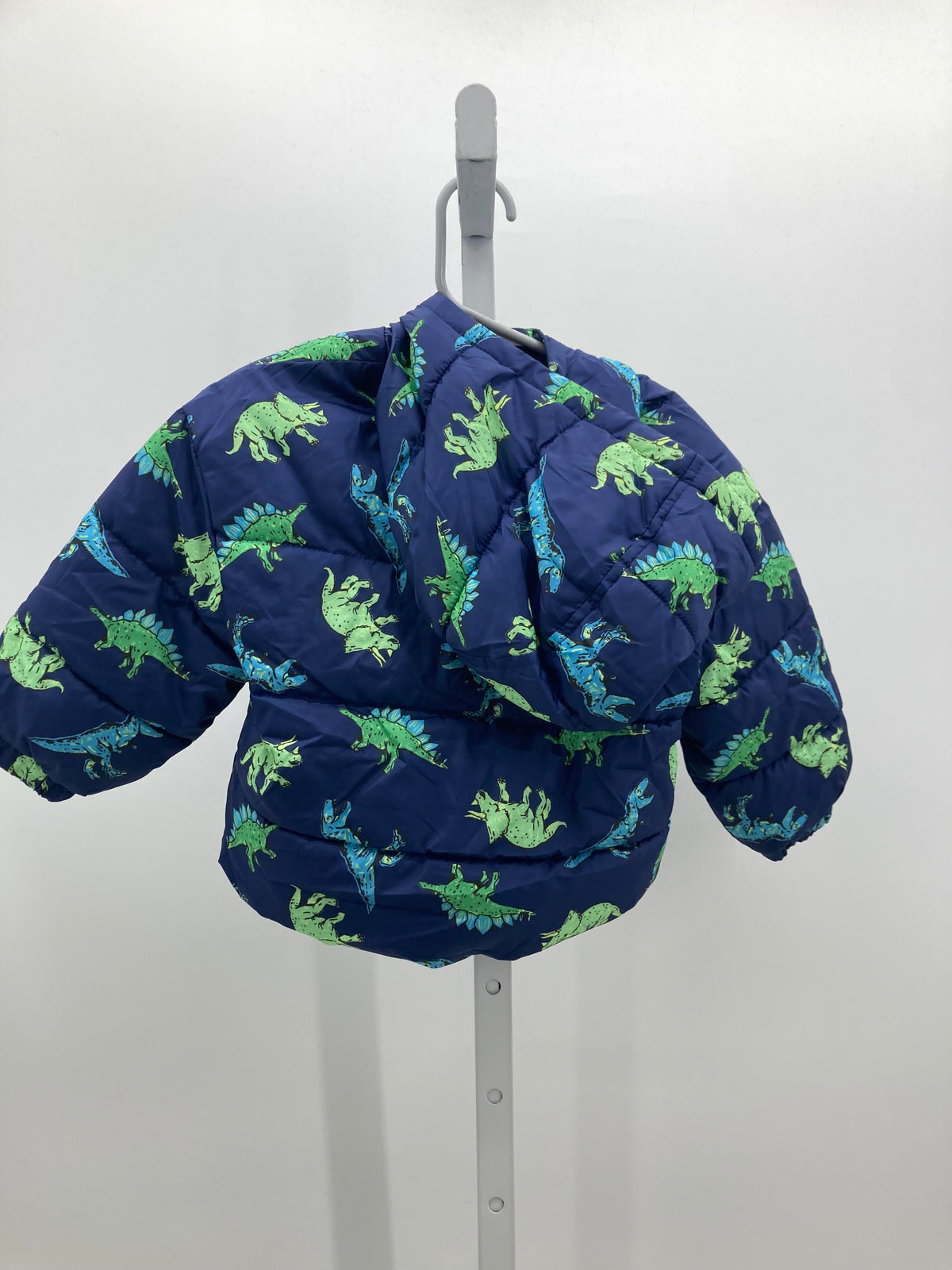 HOODED DINOS