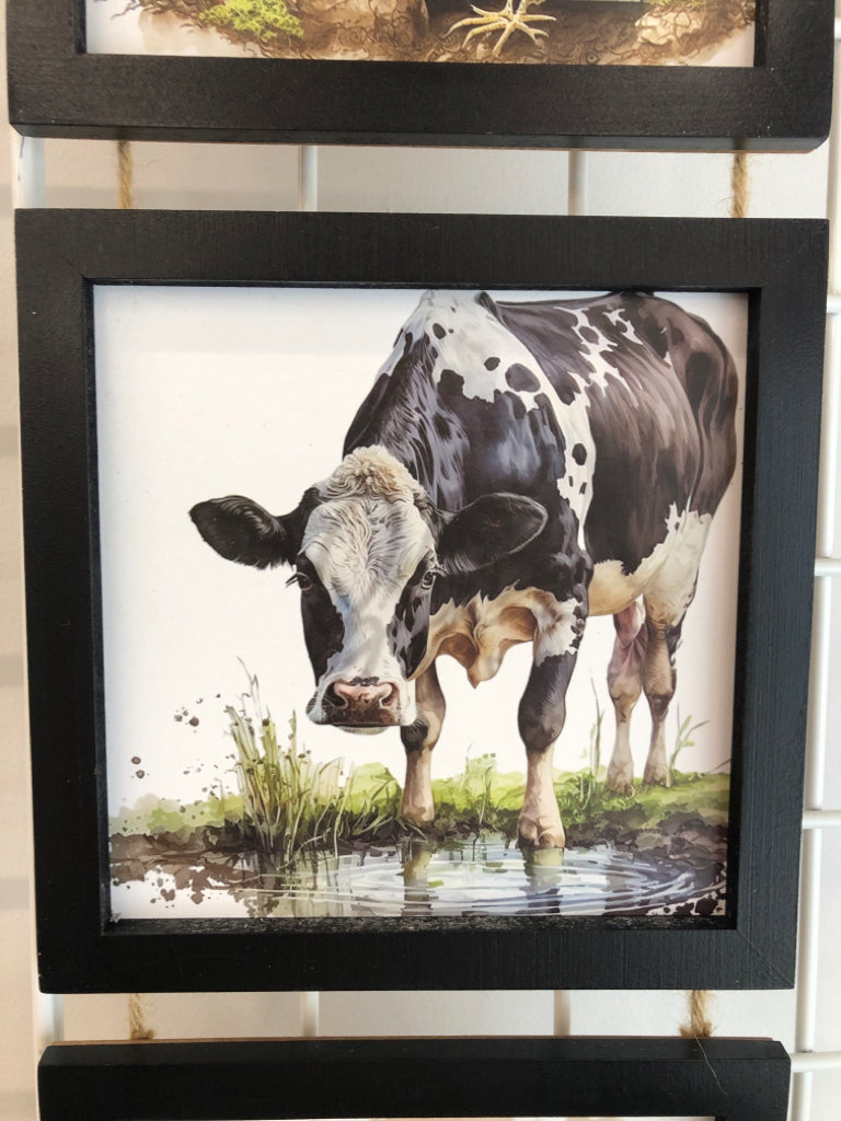 ROOSTER, COW, PIG 3 SECTION PHOTOS IN BLK FRAME.