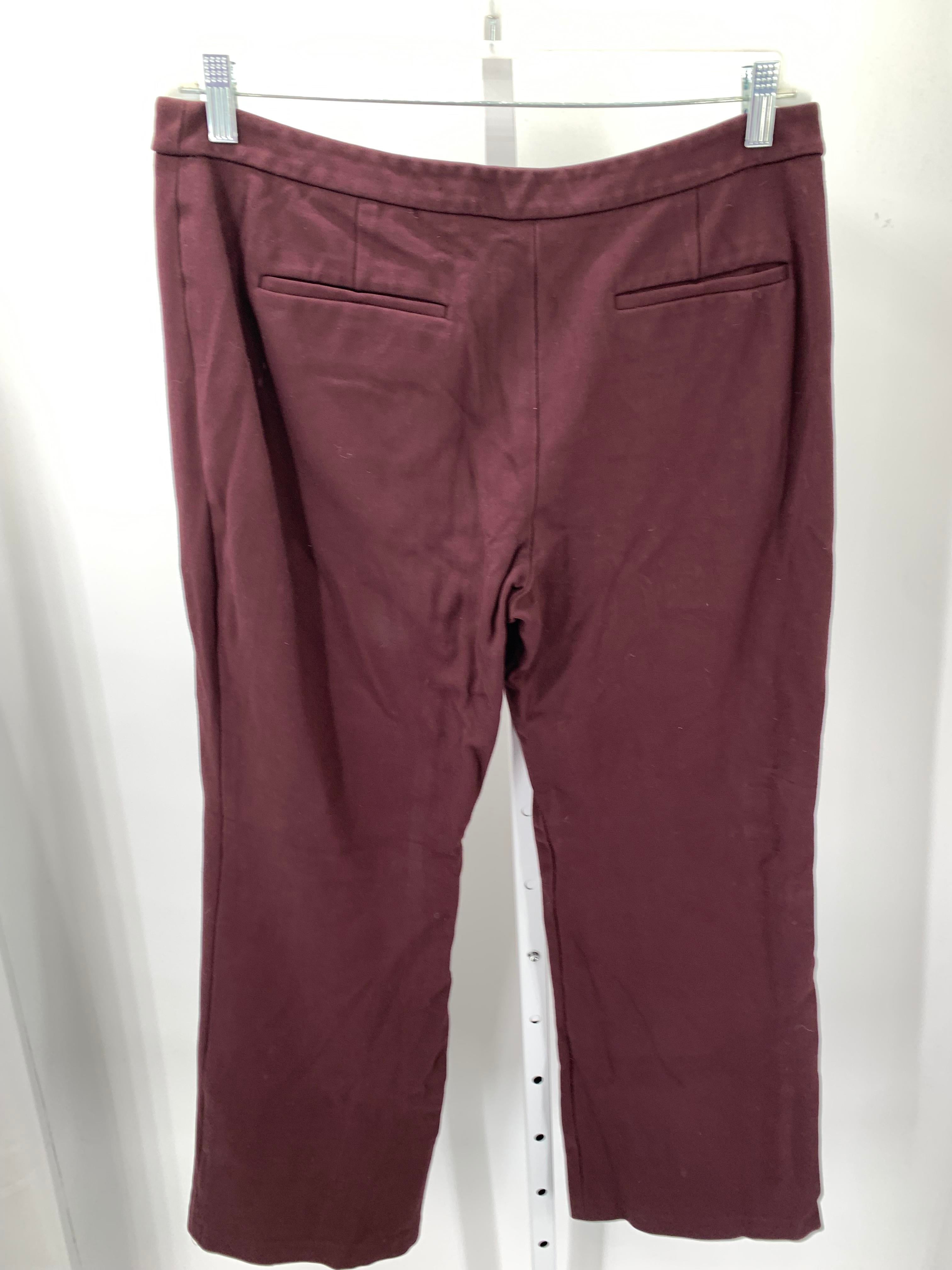 Coldwater Creek Size 14 Petite Petite Pants