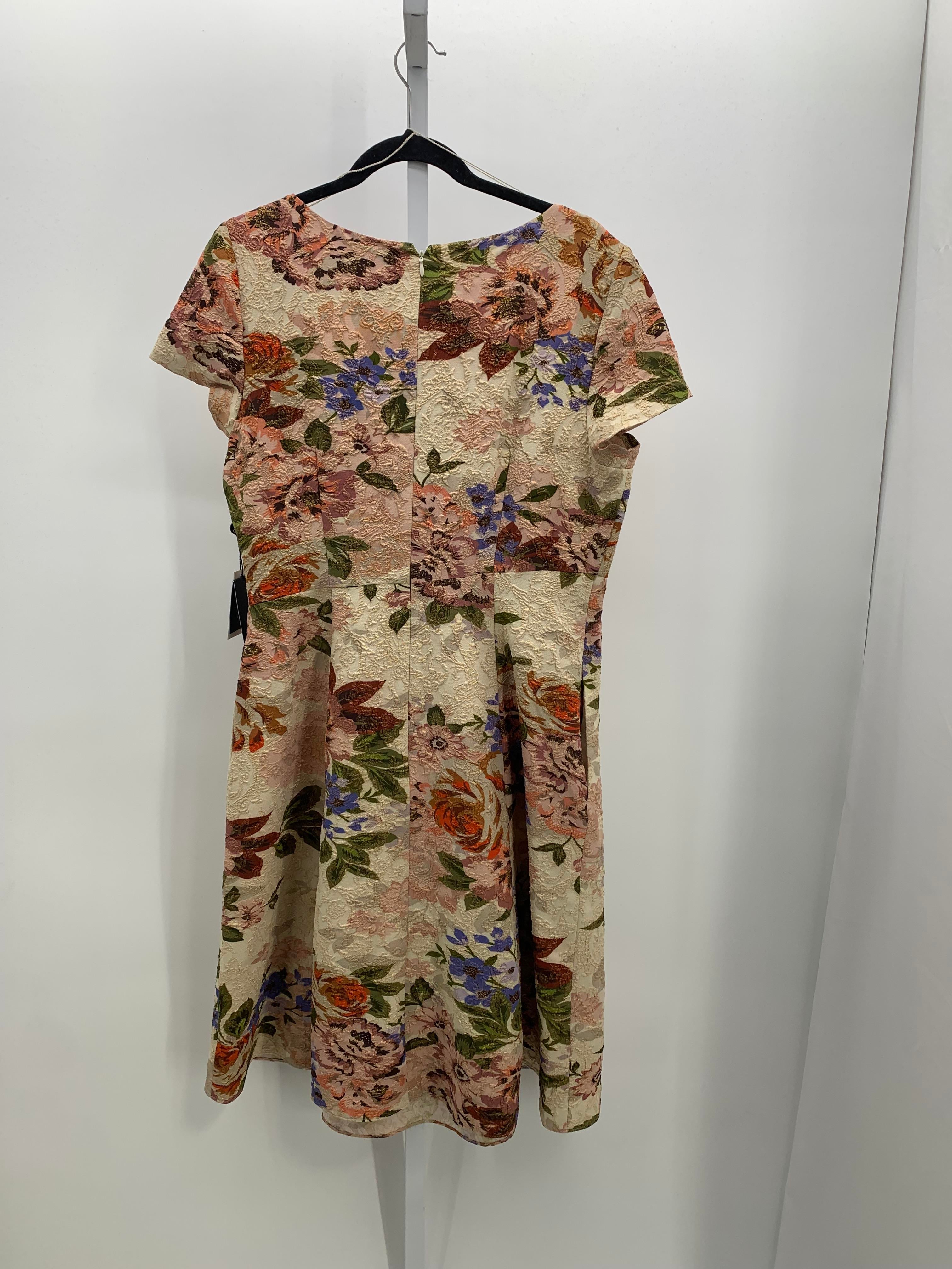 Adrianna Papell Size 14 Misses Short Sleeve Dress