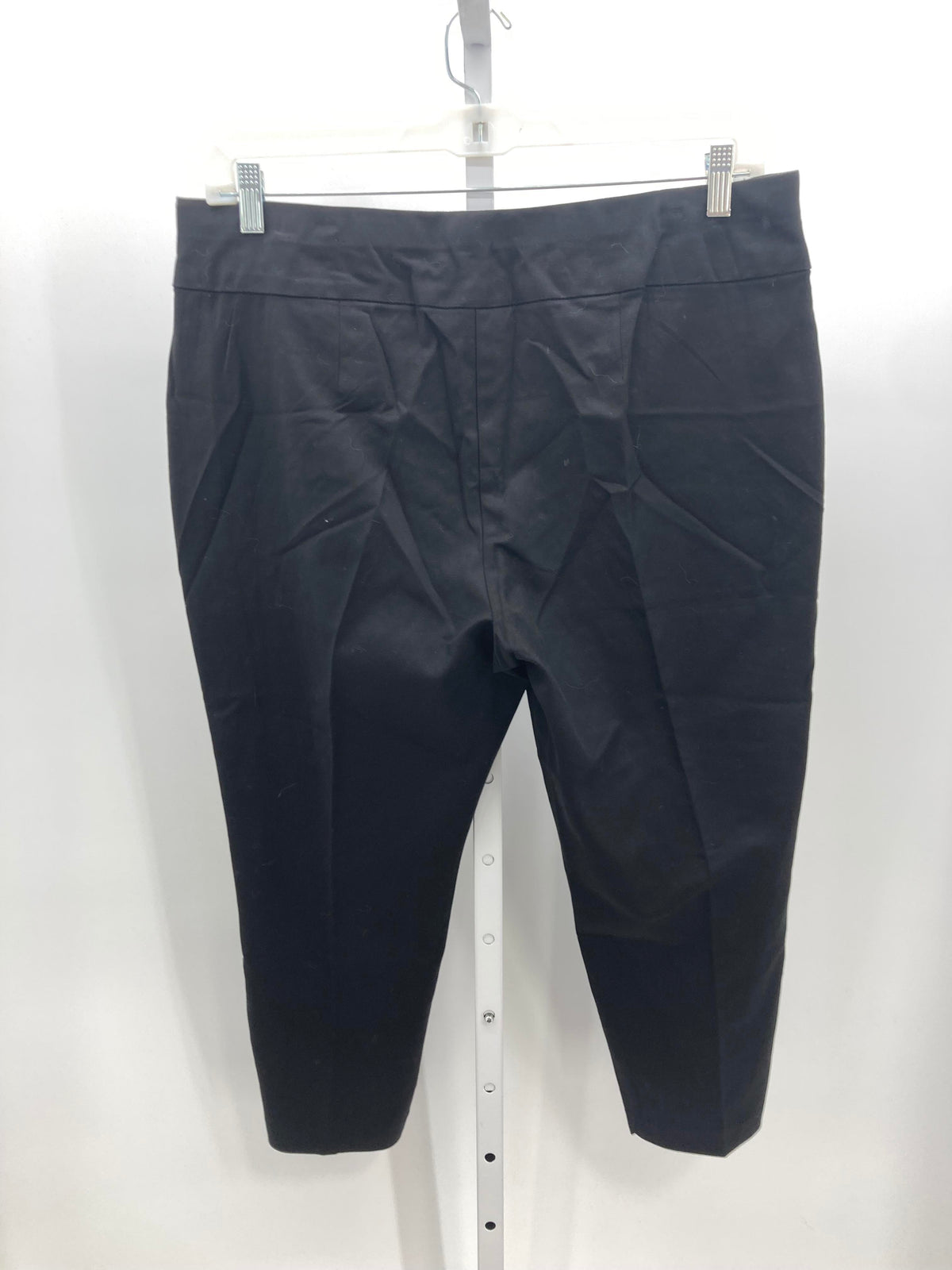 Christopher & Banks Size 16 Petite Petite Pants