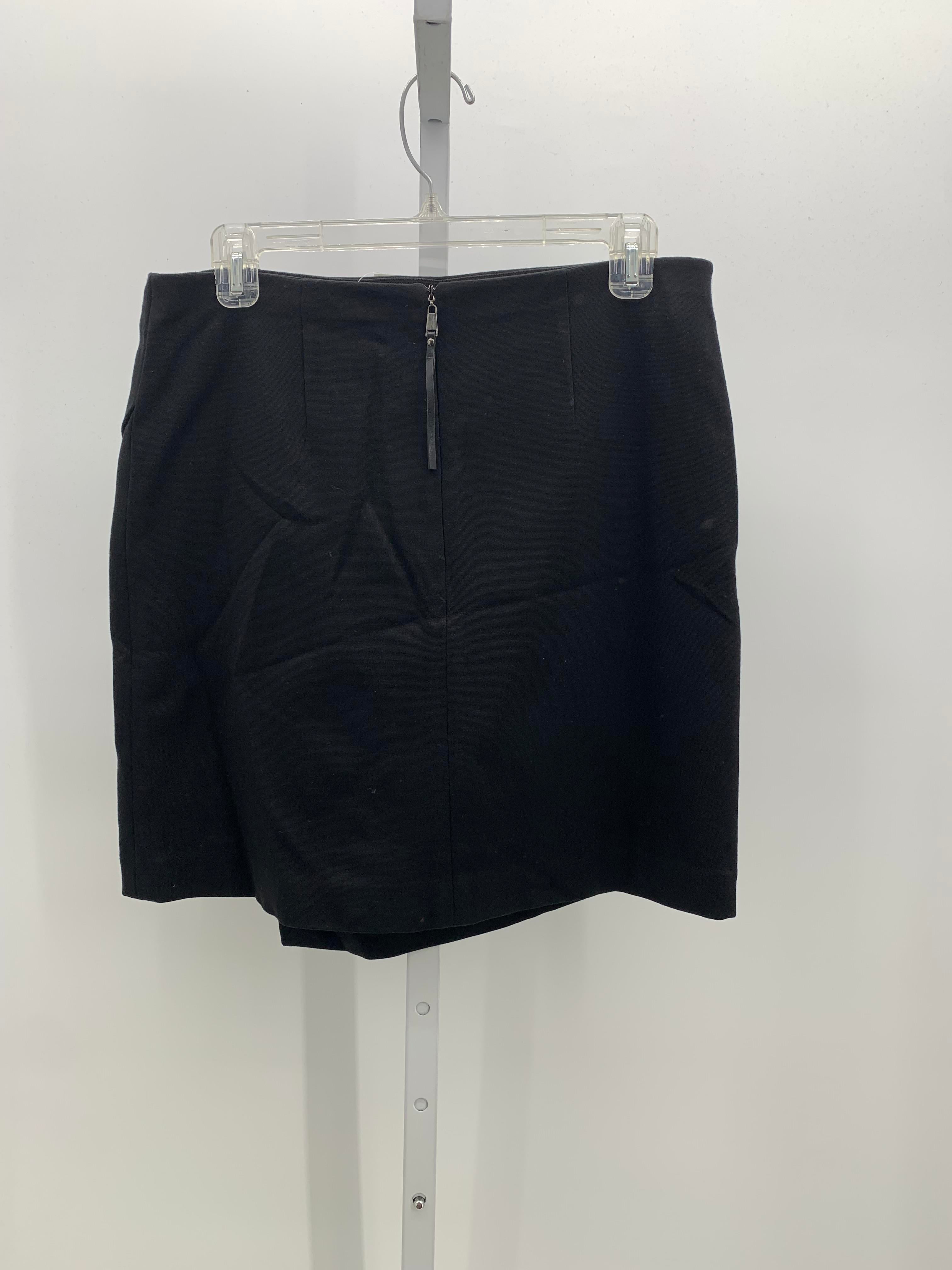 Ann Taylor Size 6 Misses Skirt