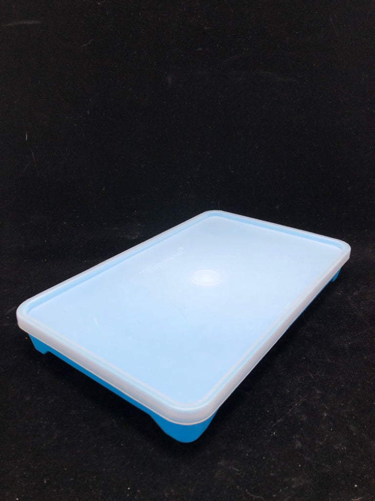 TUPPERWARE MEAT TENDERIZER W/LID.