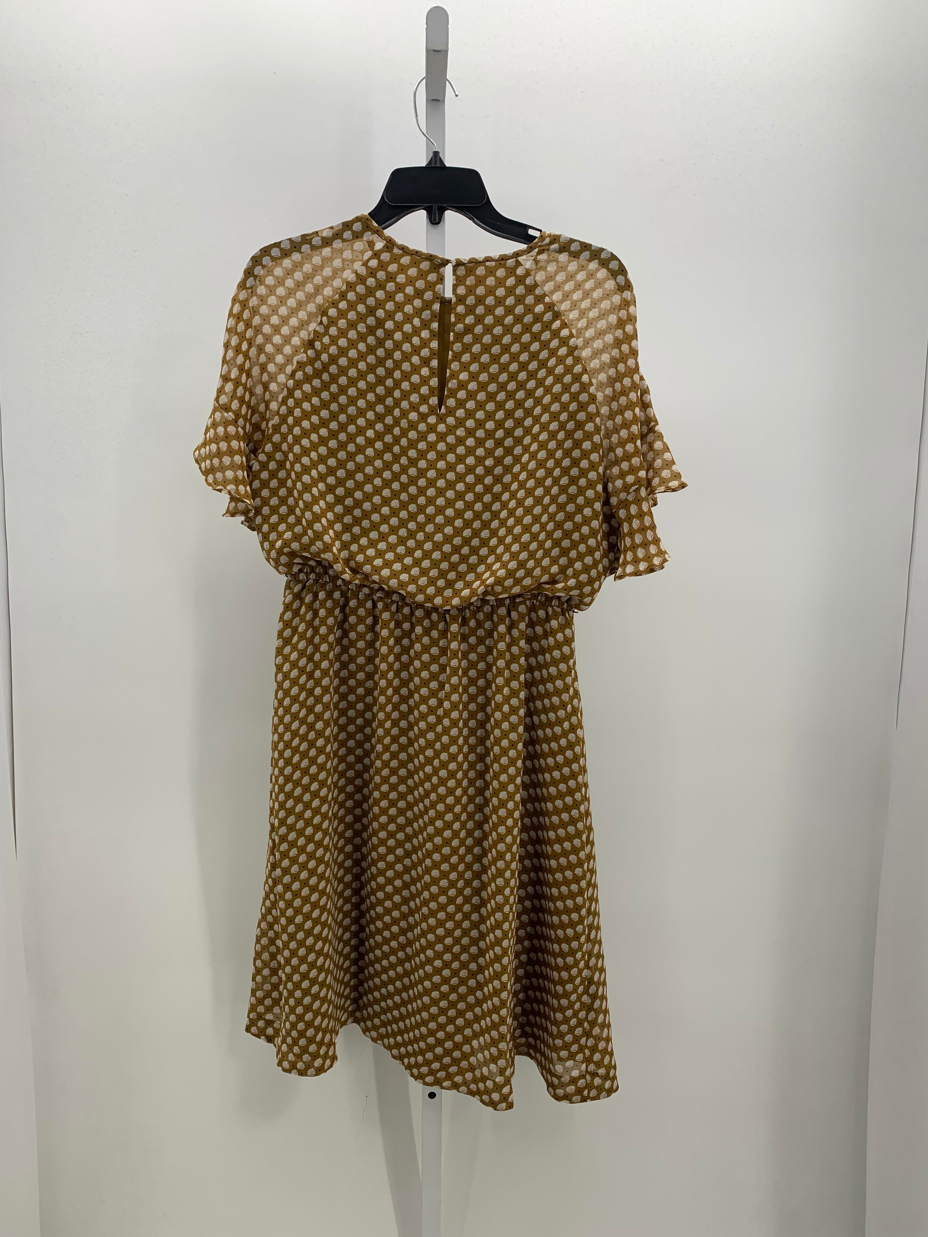 Loft Size Medium Misses Short Sleeve Dress