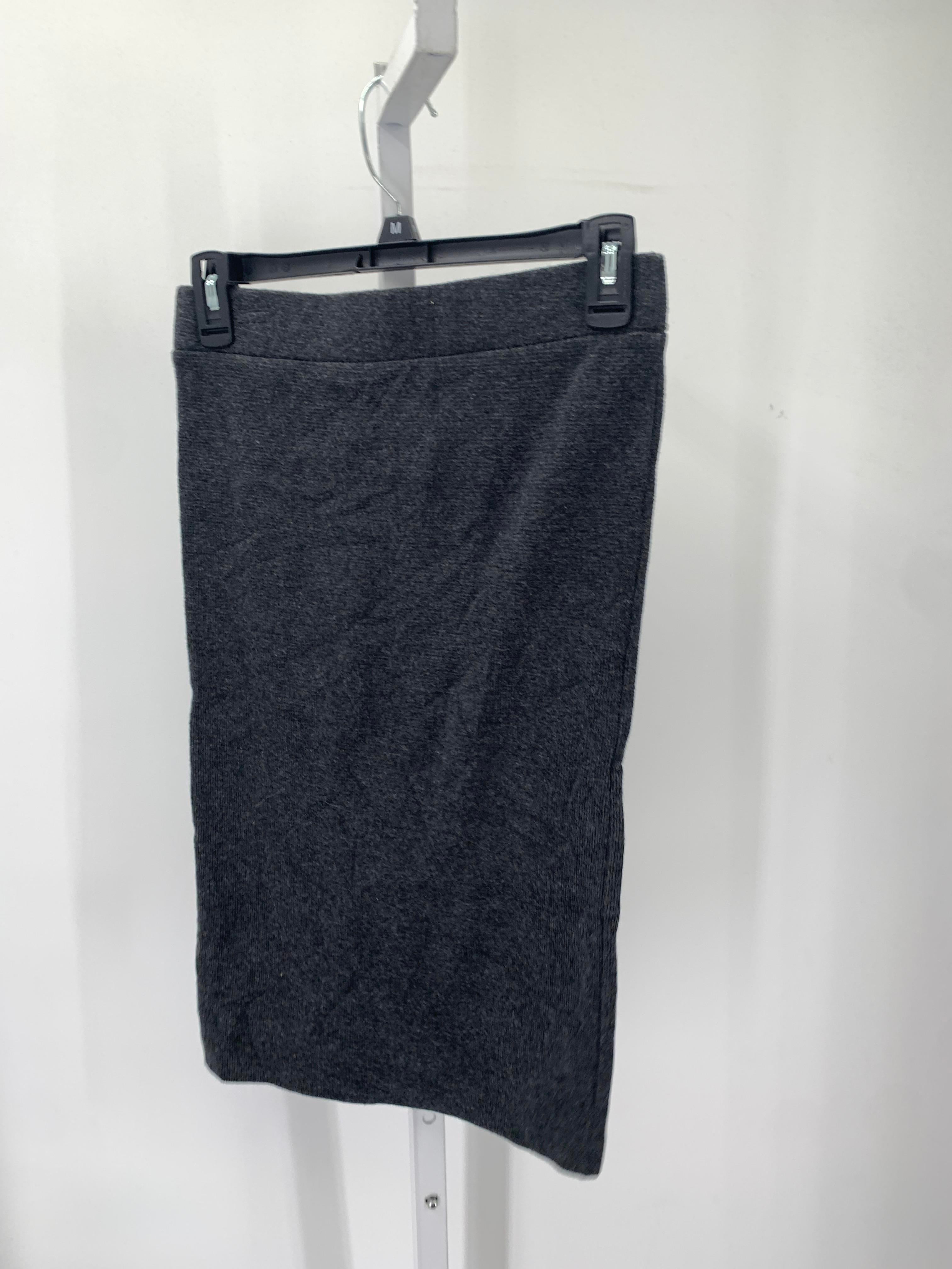 Loft Size X Small Petite Petite Skirt