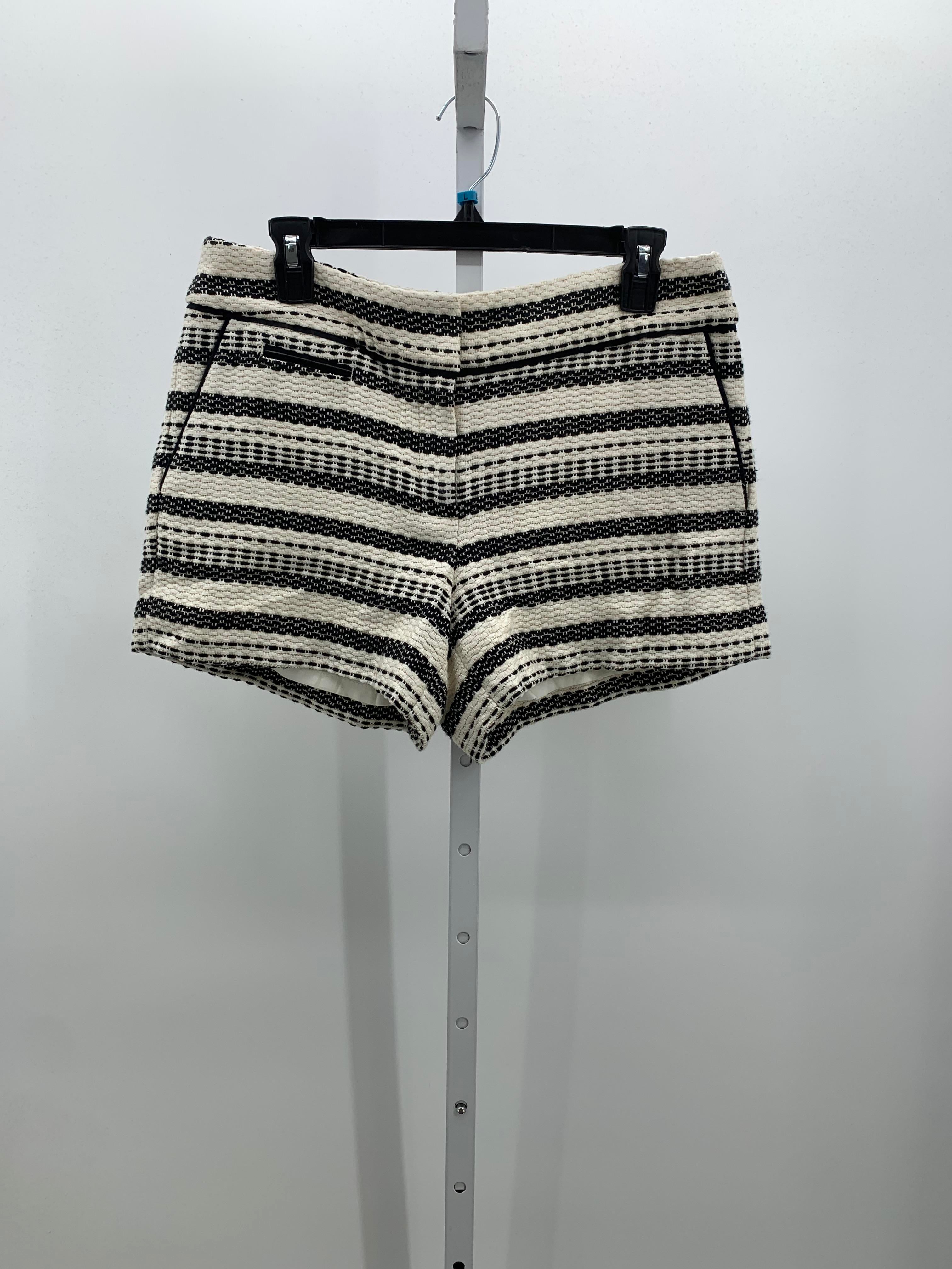 Loft Size 6 Misses Shorts