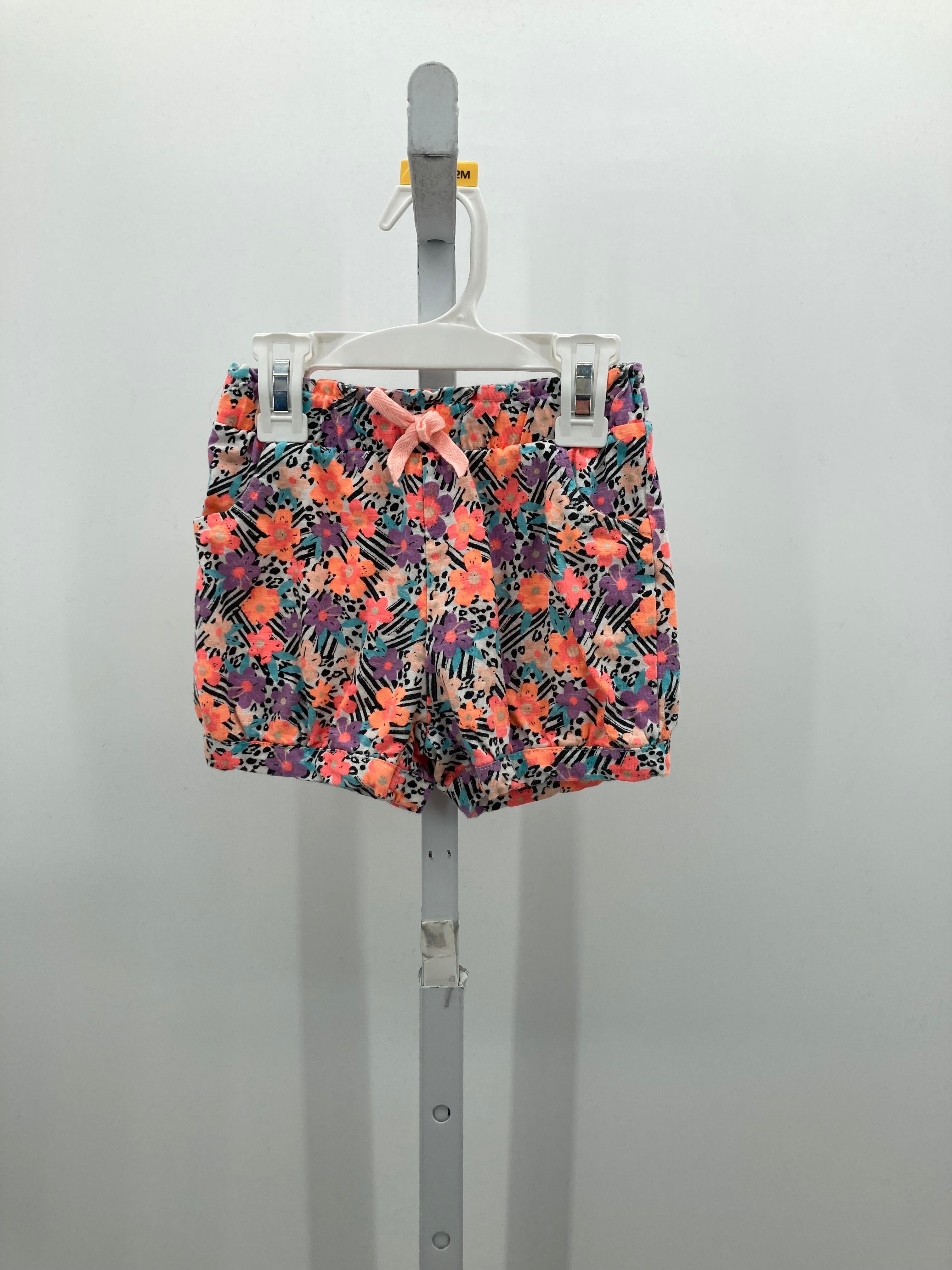 Koala Kids Size 3T Girls Shorts