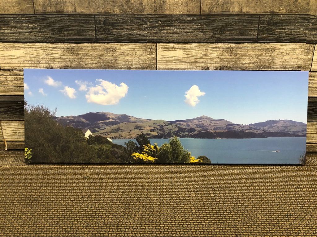 NEW ZEALAND MOUNTAINS CANVAS PRINT.