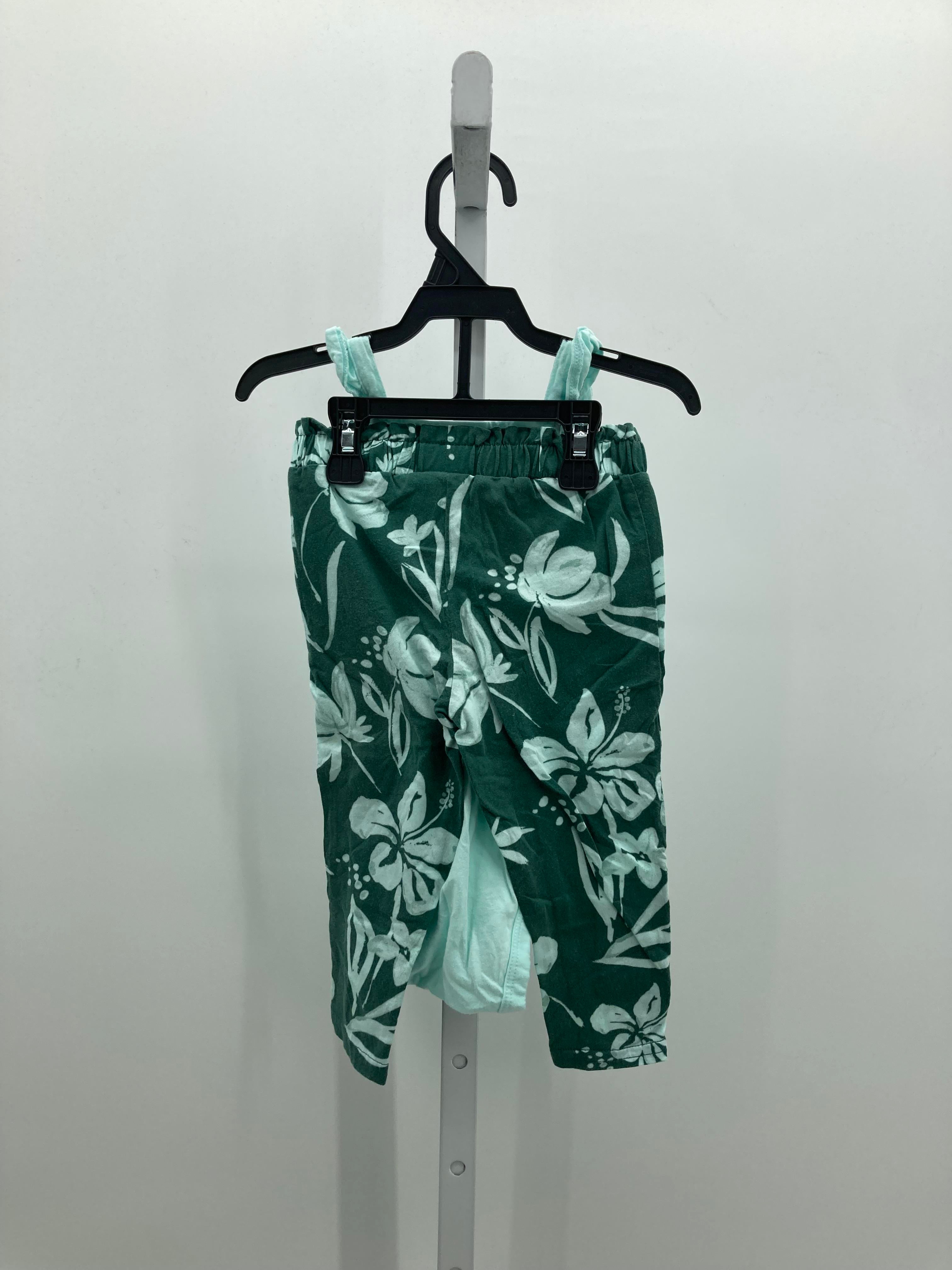 Carters Size 18 Months Girls 2 Pieces