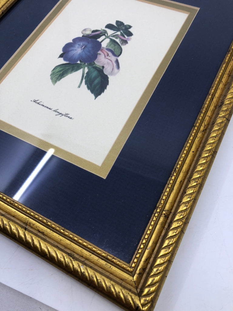 PANSIES IN GOLD FRAME BLUE BACKGROUND.