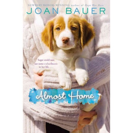 Almost Home - by Joan Bauer (Paperback) - Bauer, Joan