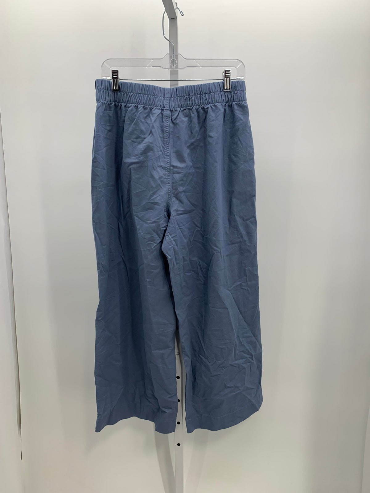 Loft Size Medium Petite Petite Pants