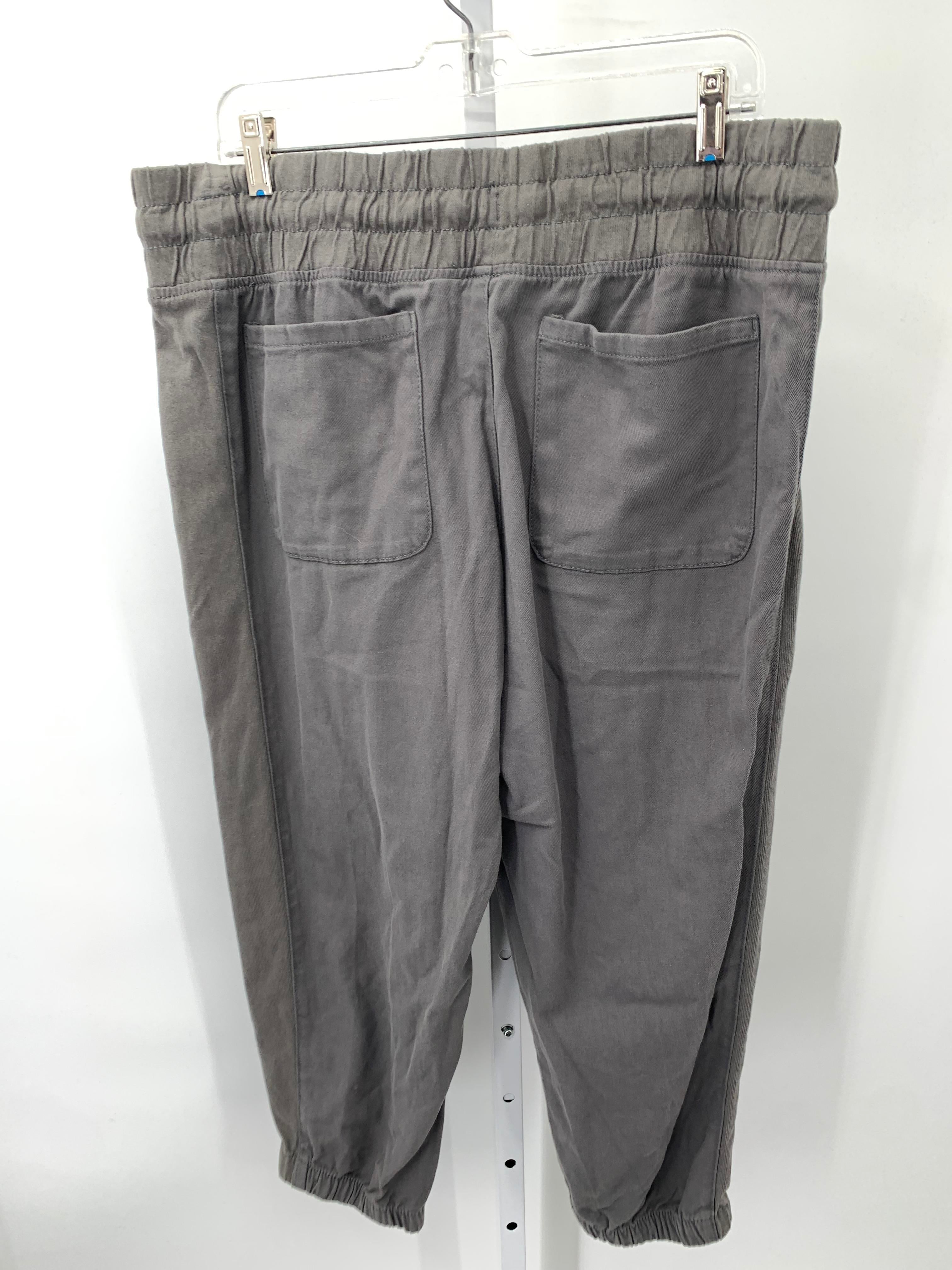 Time and Tru Size Large Misses Pants